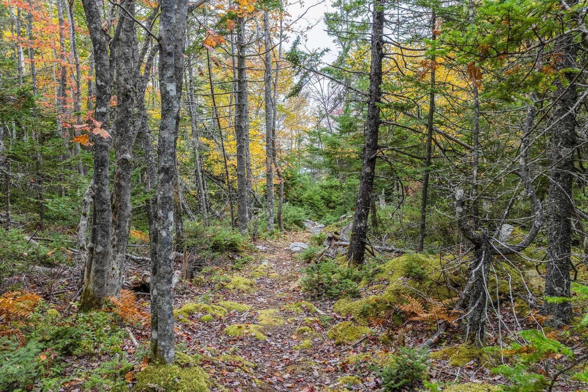 Lot Scott's Point Road, East Dover, NS (MLS 202607461)