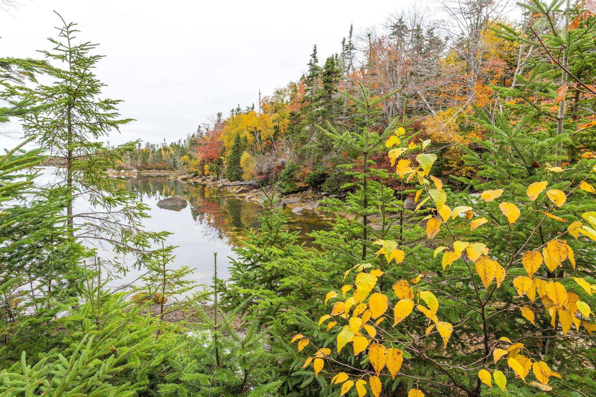 Lot Scott's Point Road, East Dover, NS (MLS 202607461)