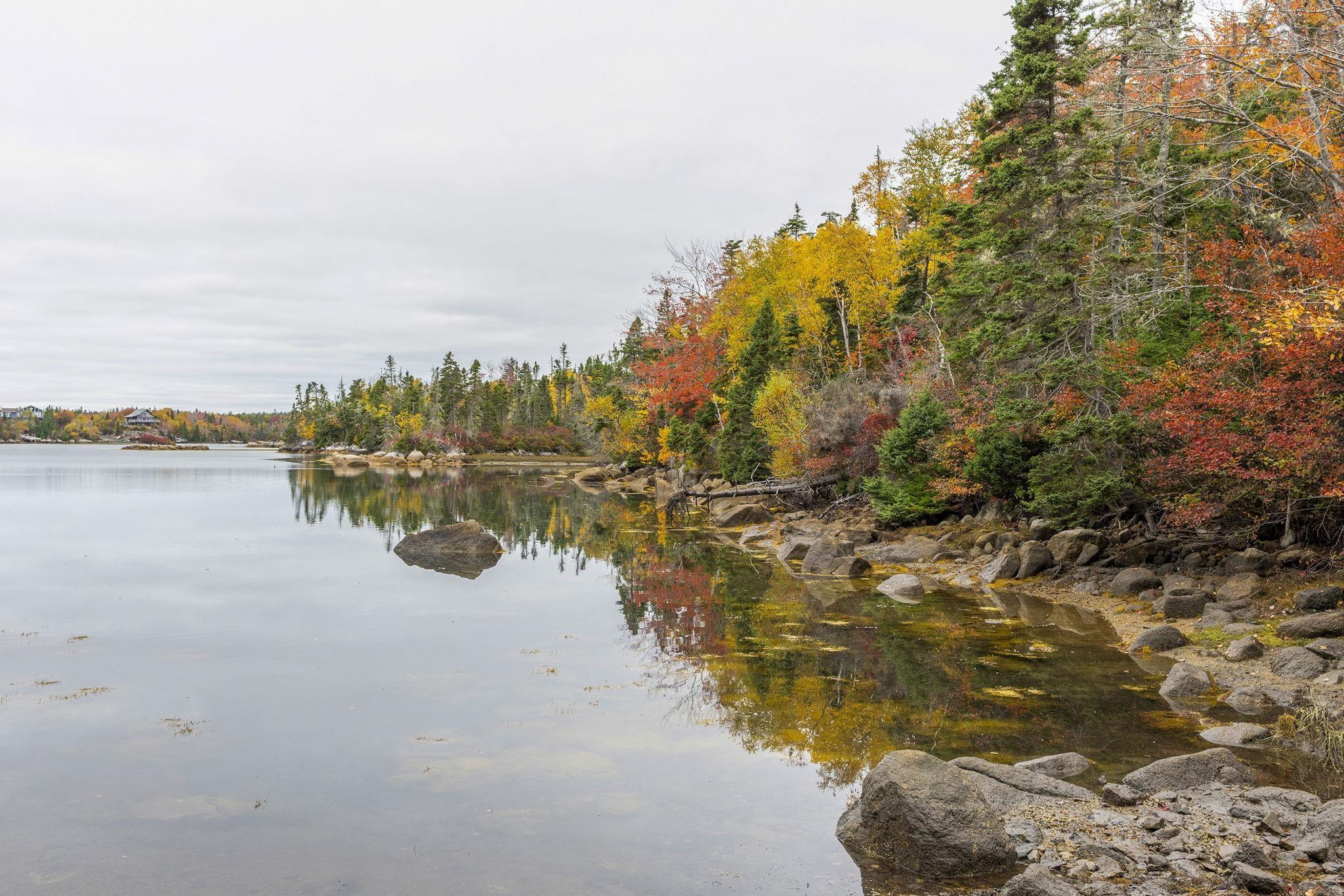 Lot Scott's Point Road, East Dover, NS (MLS 202607461)