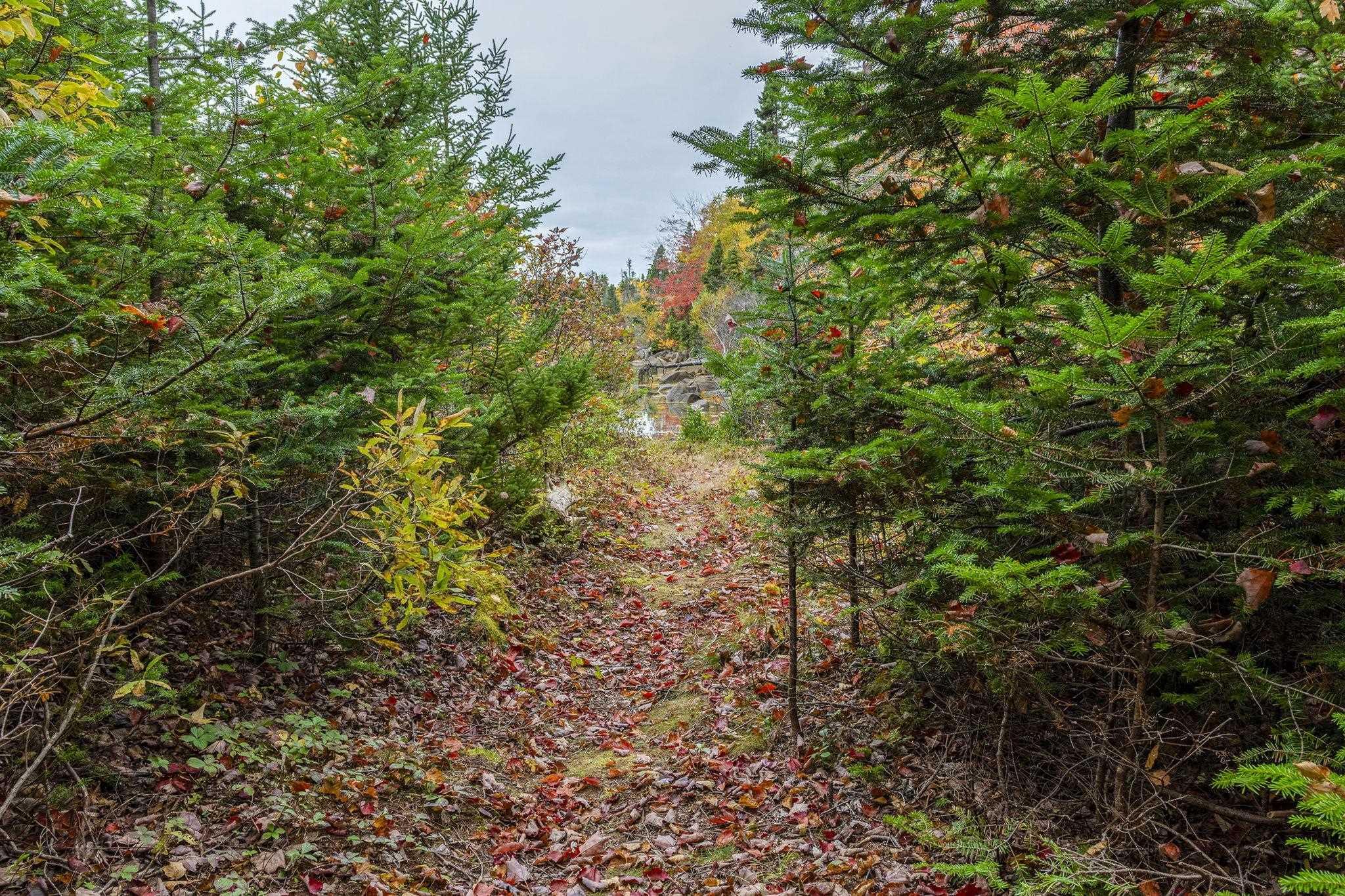 Lot Scott's Point Road, East Dover, NS (MLS 202607461)
