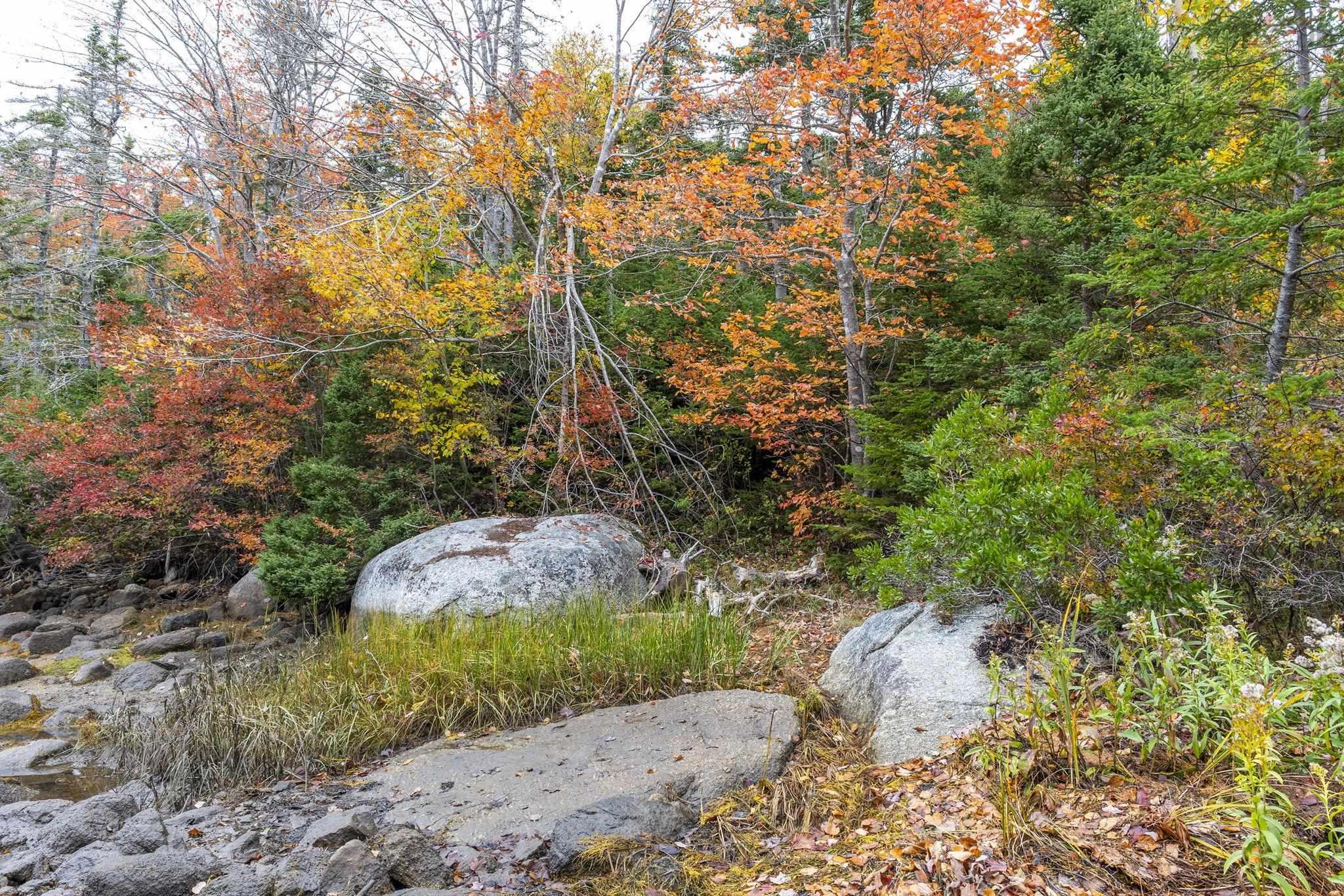 Lot Scott's Point Road, East Dover, NS (MLS 202607461)