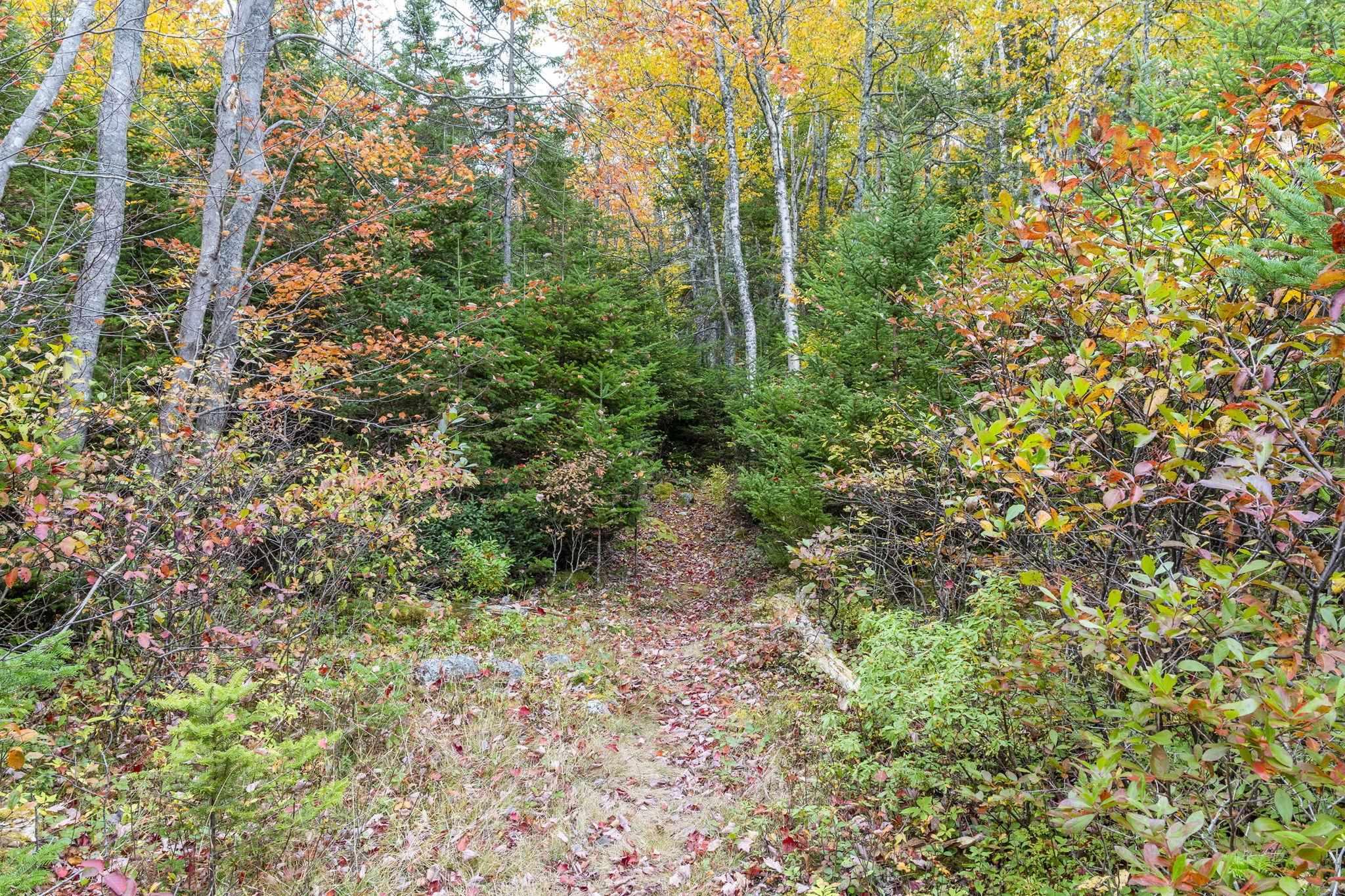 Lot Scott's Point Road, East Dover, NS (MLS 202607461)
