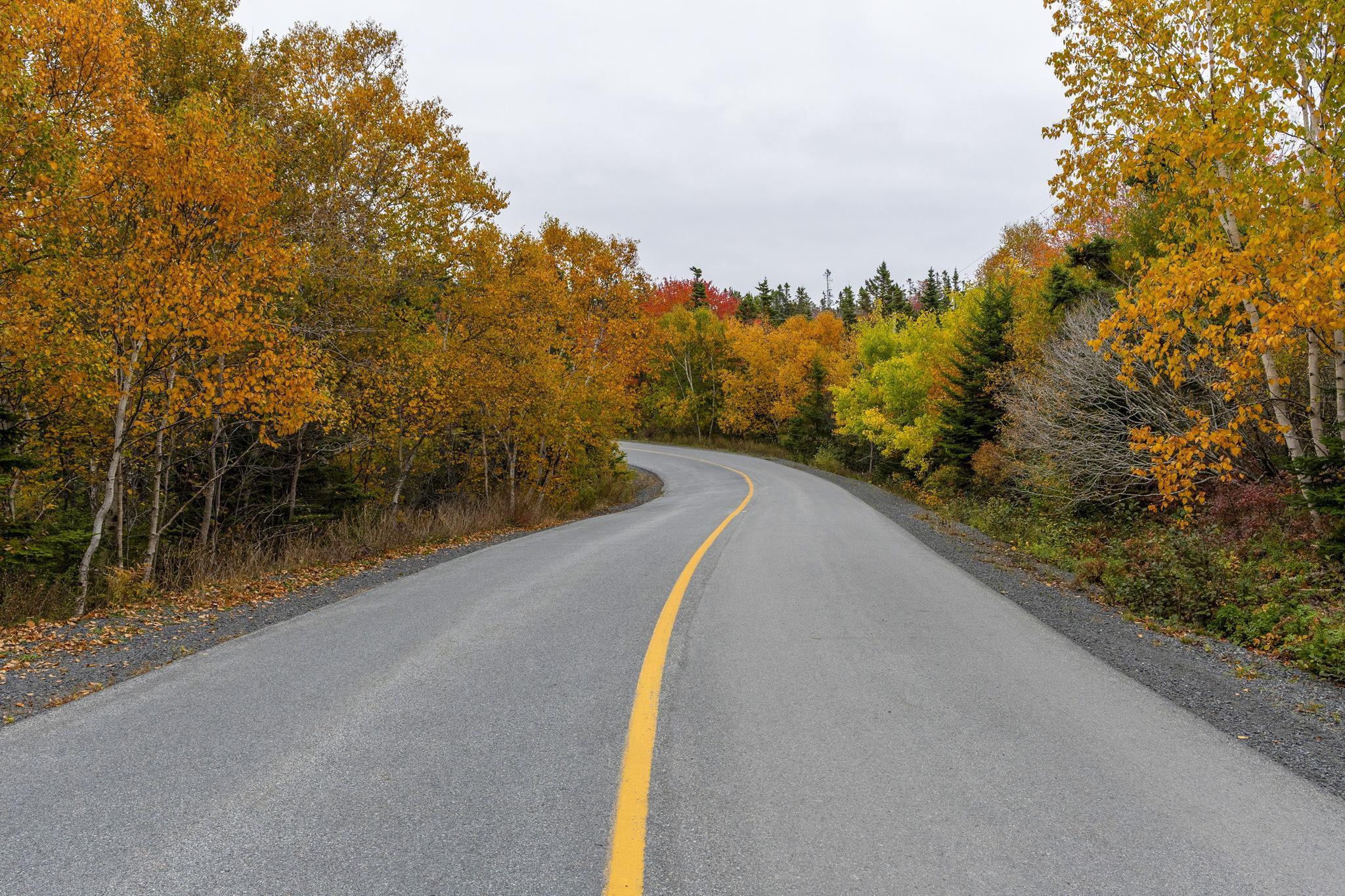 Lot Scott's Point Road, East Dover, NS (MLS 202607461)