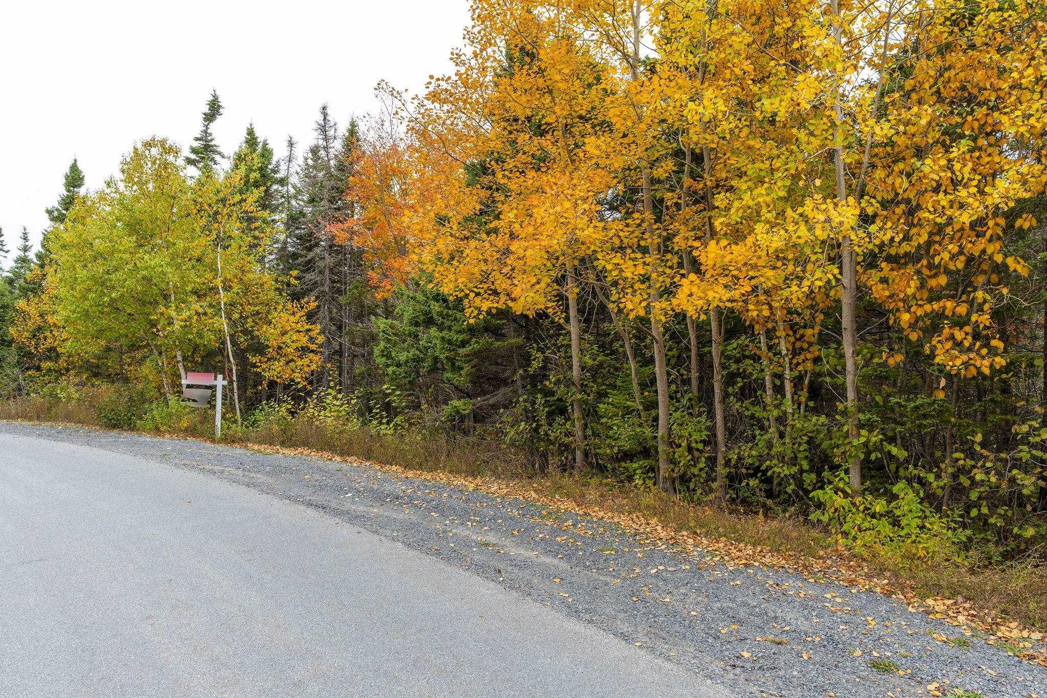 Lot Scott's Point Road, East Dover, NS (MLS 202607461)