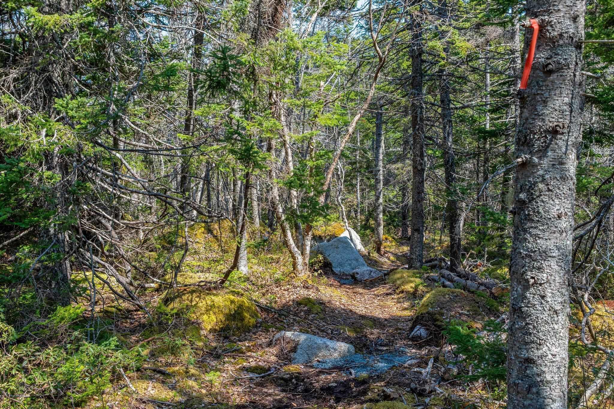 Lot Scott's Point Road, East Dover, NS (MLS 202607461)