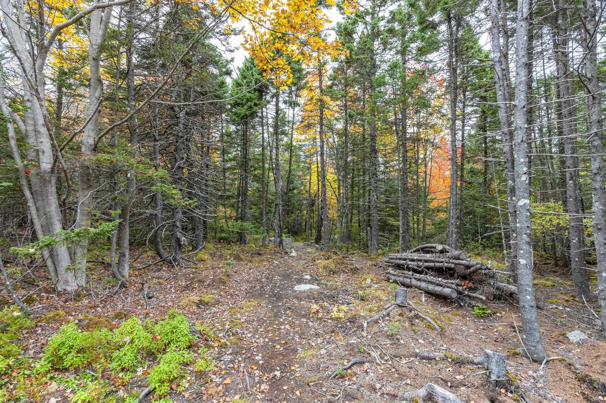 Lot Scott's Point Road, East Dover, NS (MLS 202607461)