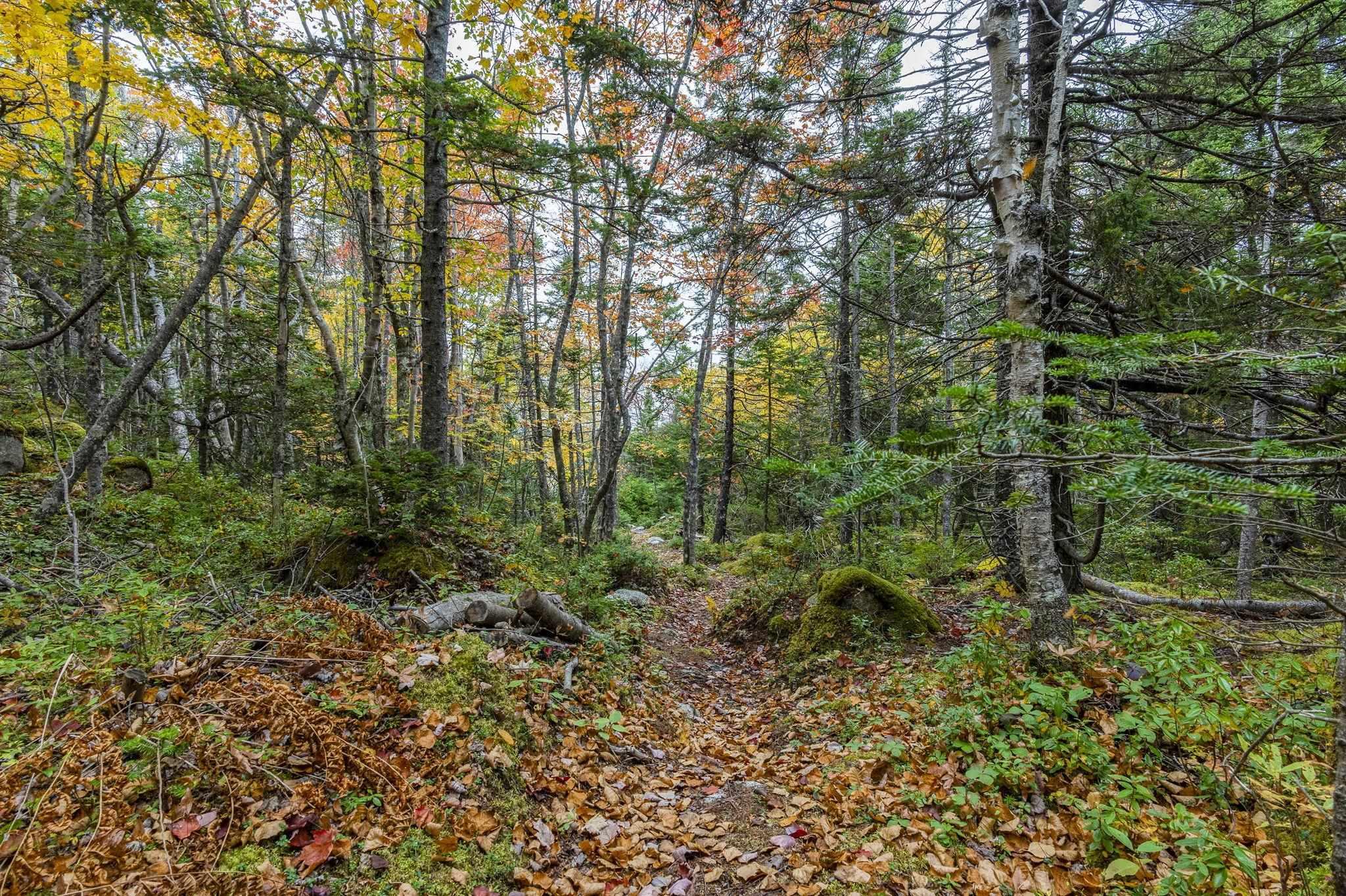 Lot Scott's Point Road, East Dover, NS (MLS 202607461)