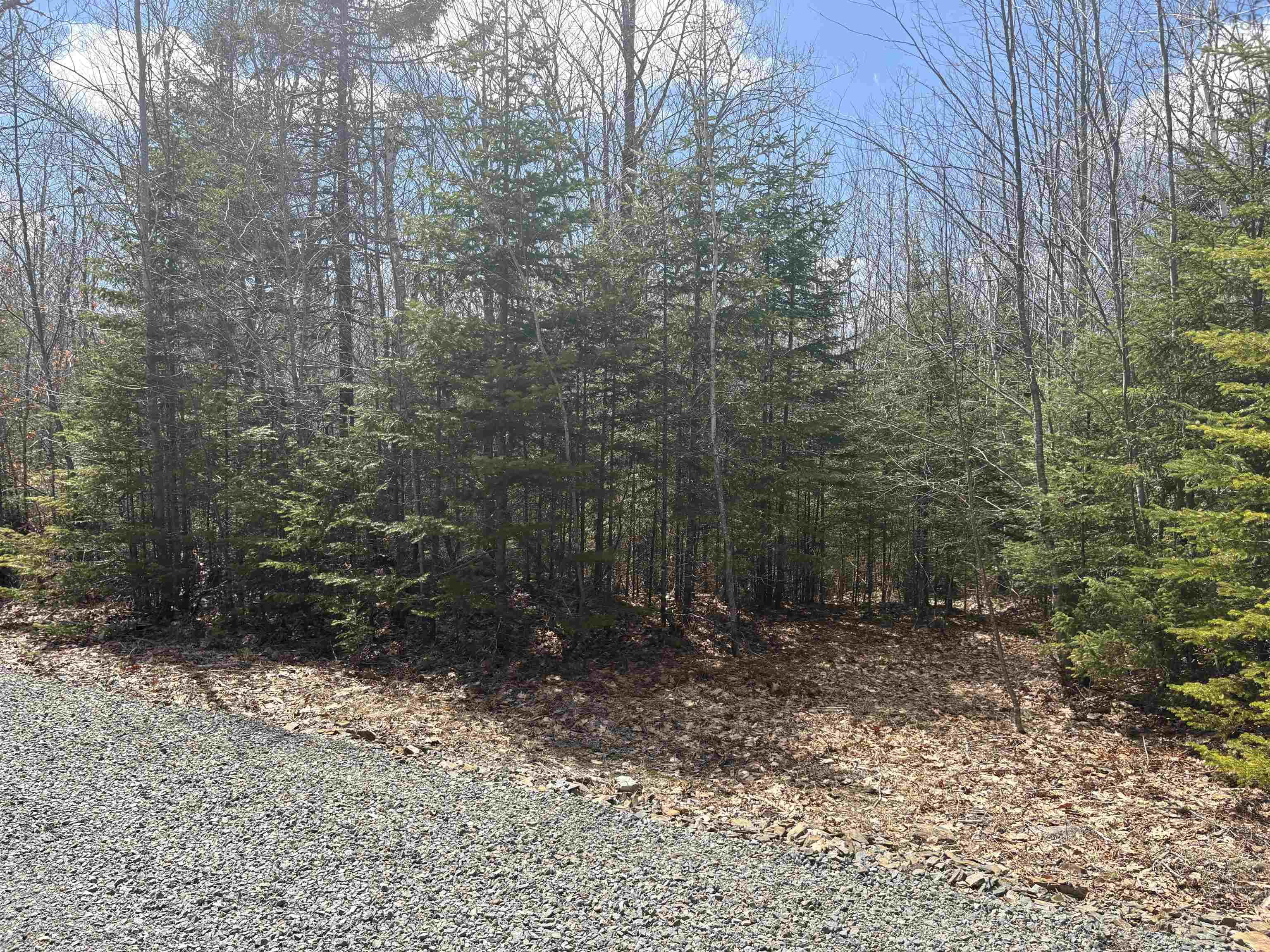 $59,000.00: Lot 10 Walburne Road, Newburne