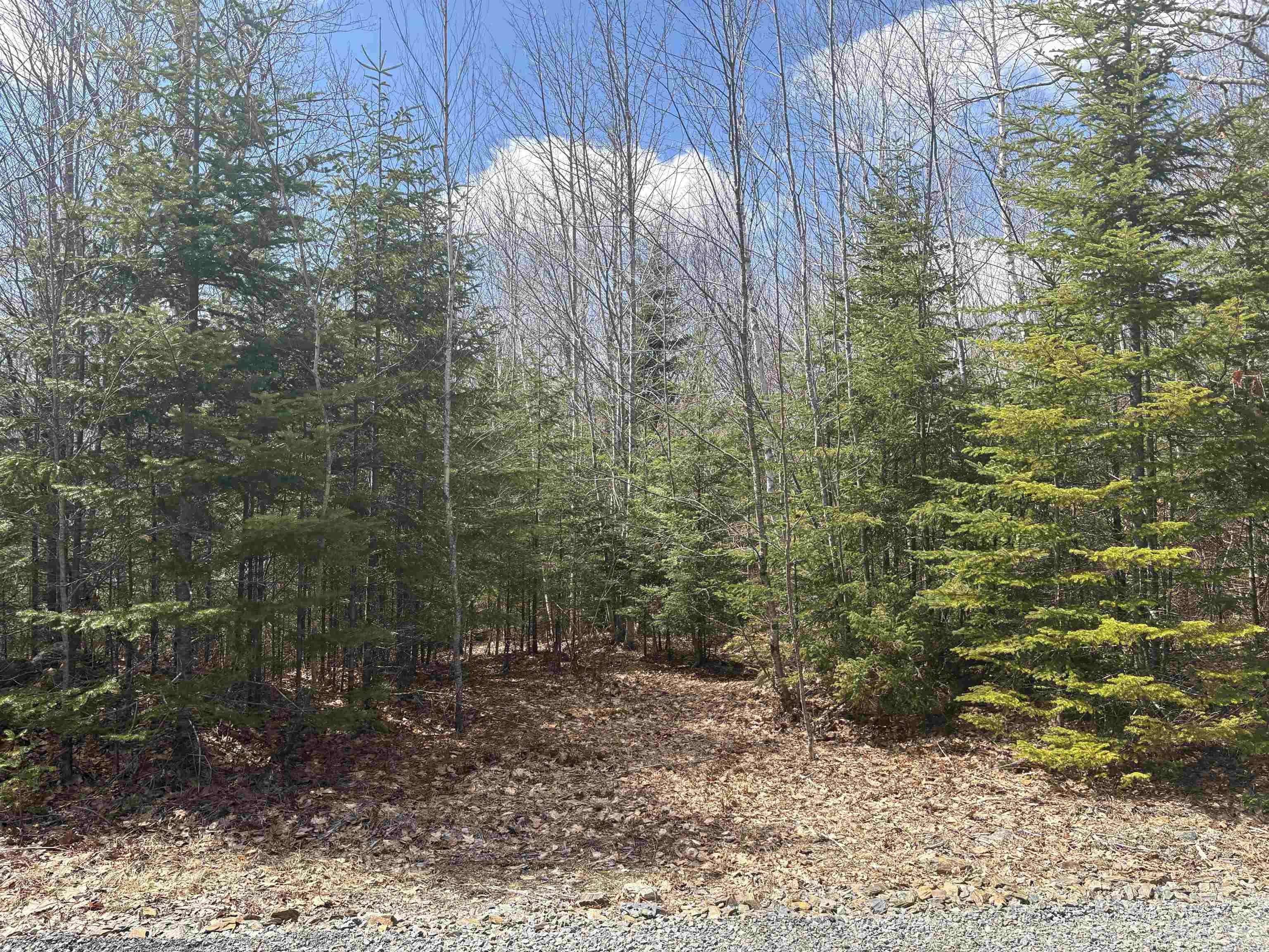 $59,000.00: Lot 10 Walburne Road, Newburne