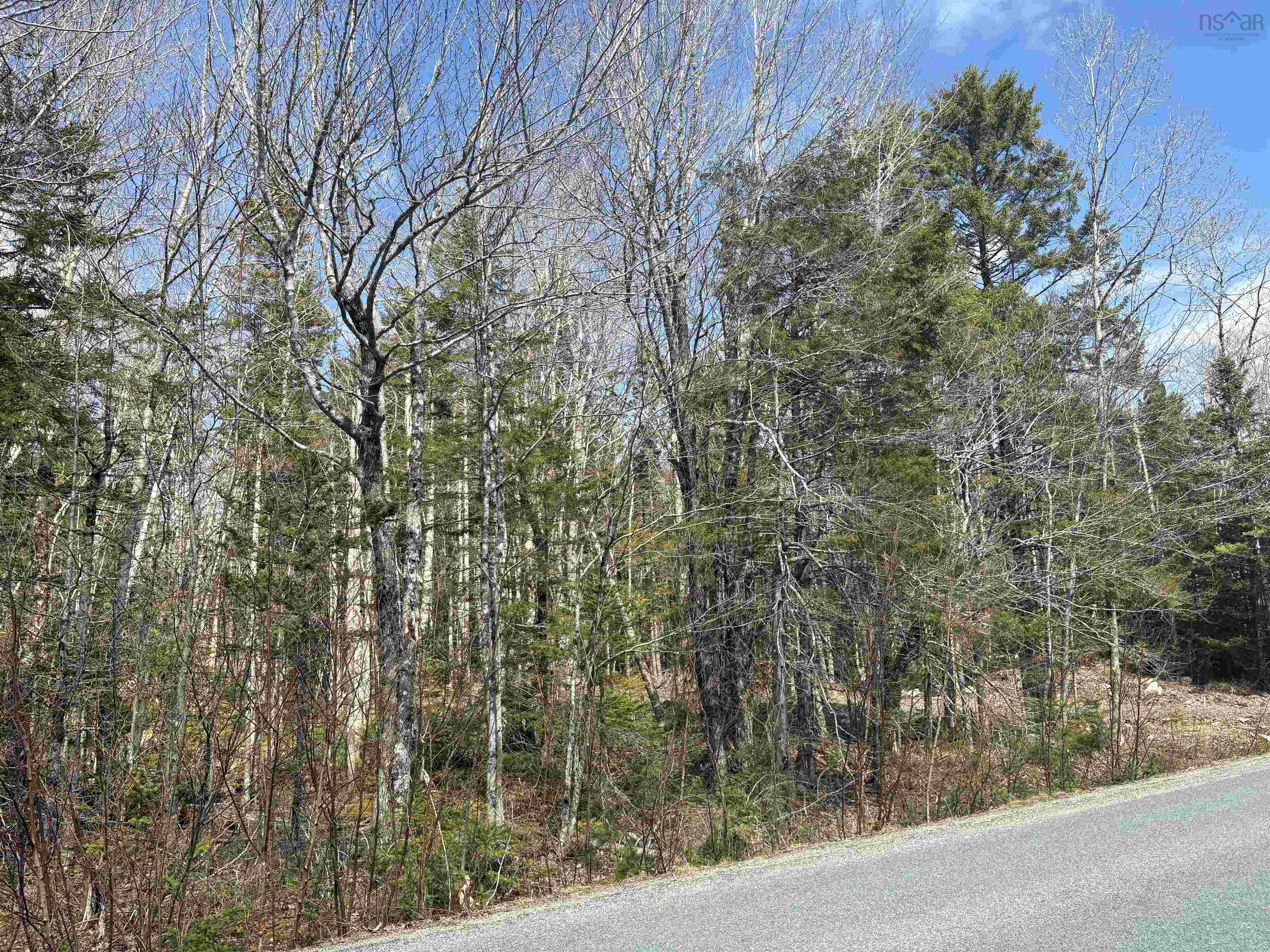 $59,000.00: Lot 10 Walburne Road, Newburne