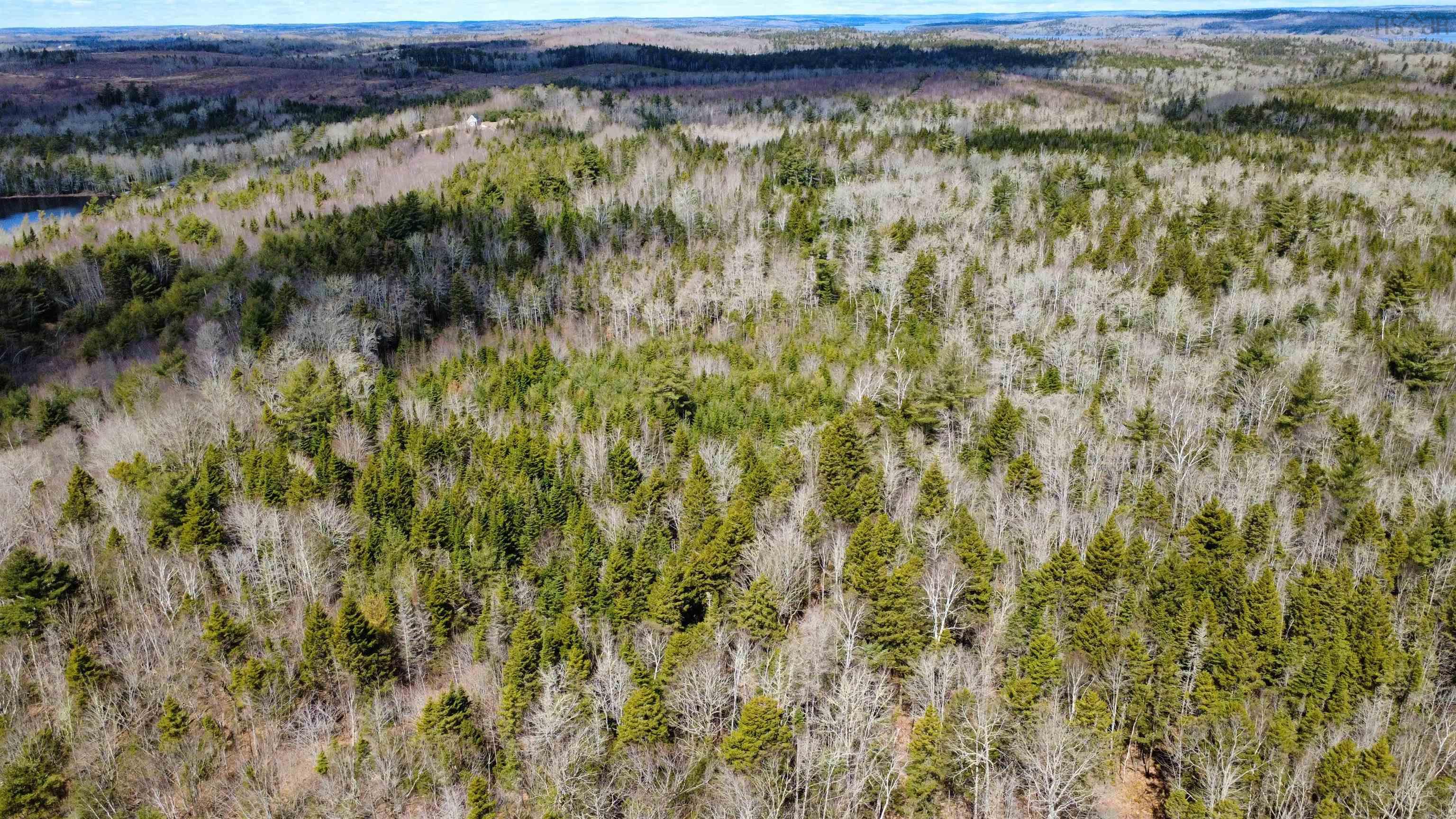 $59,000.00: Lot 10 Walburne Road, Newburne