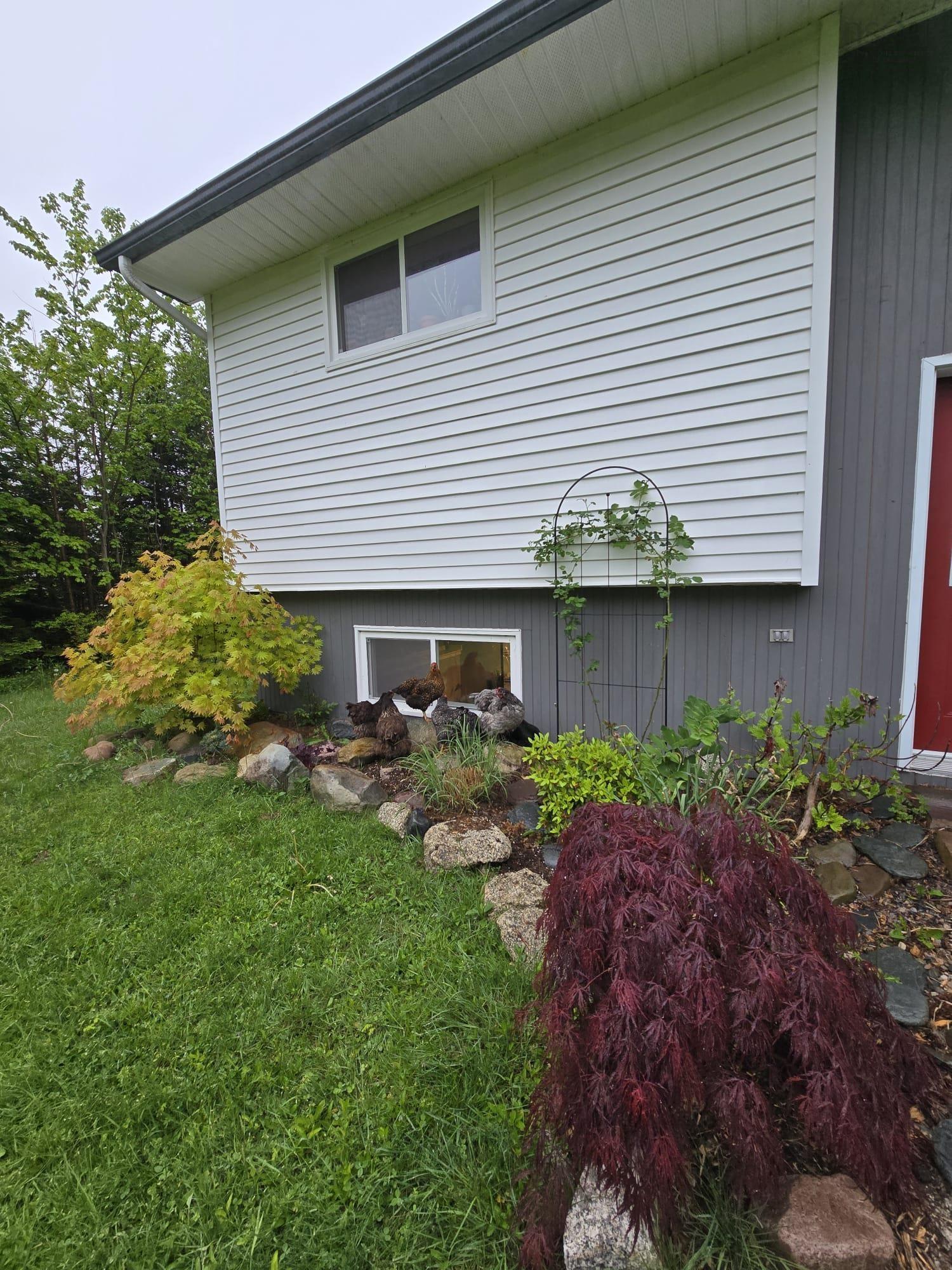 42 David Allen Drive, East Lawrencetown, NS (MLS 202607536)