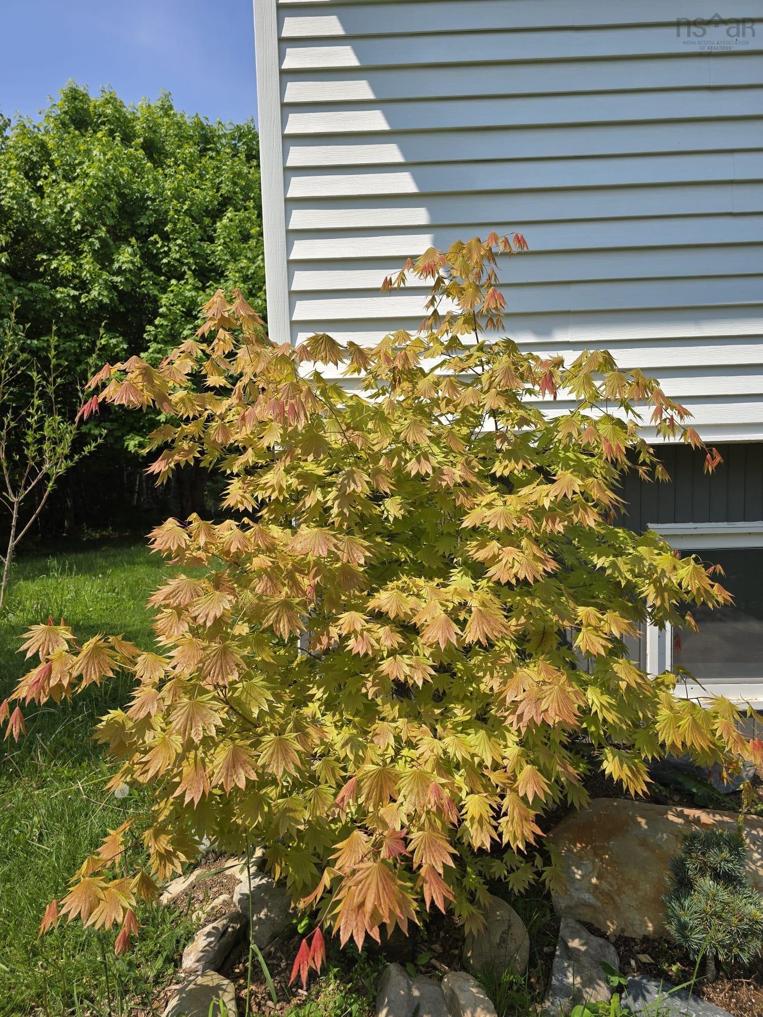 42 David Allen Drive, East Lawrencetown, NS (MLS 202607536)