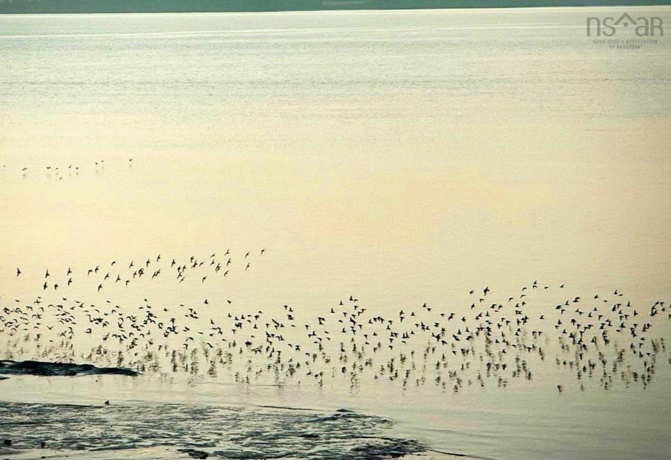 $725,000.00: 102 Pheasant Road, North Grand Pre