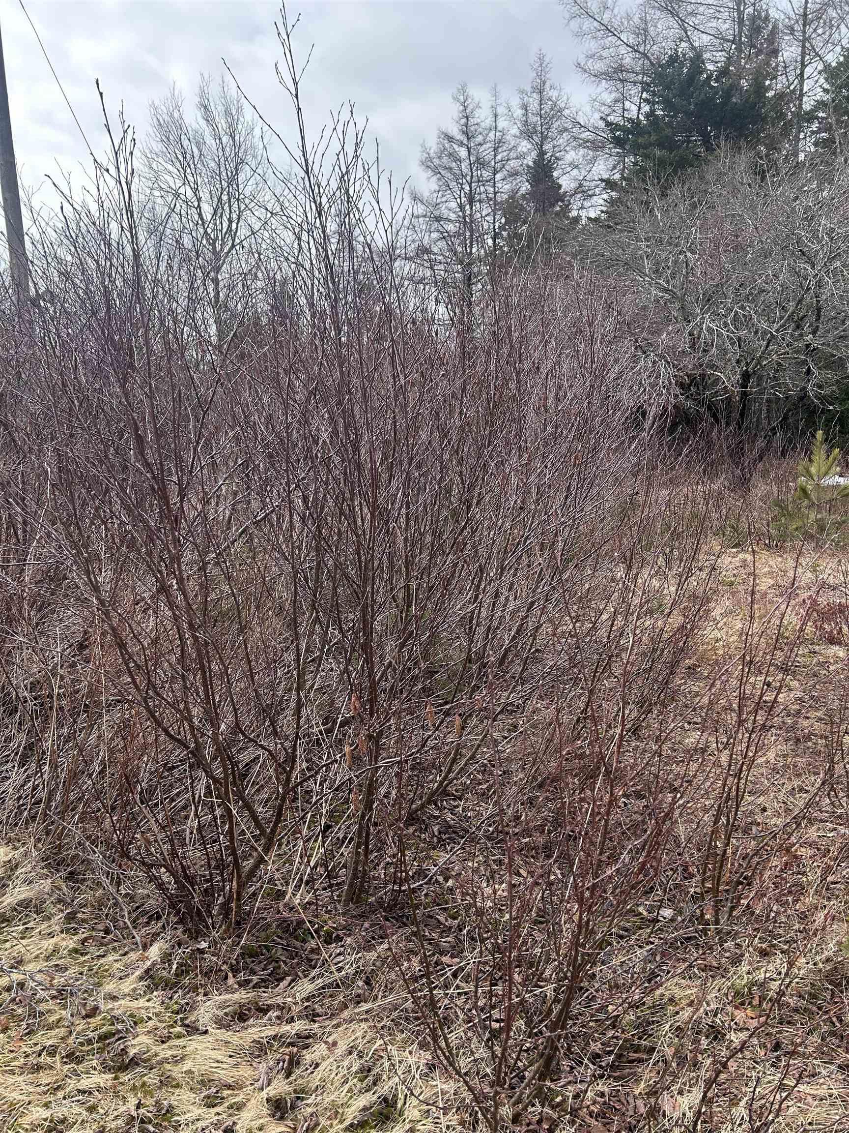 $99,900.00: 742 Lower River Road, Hureauville