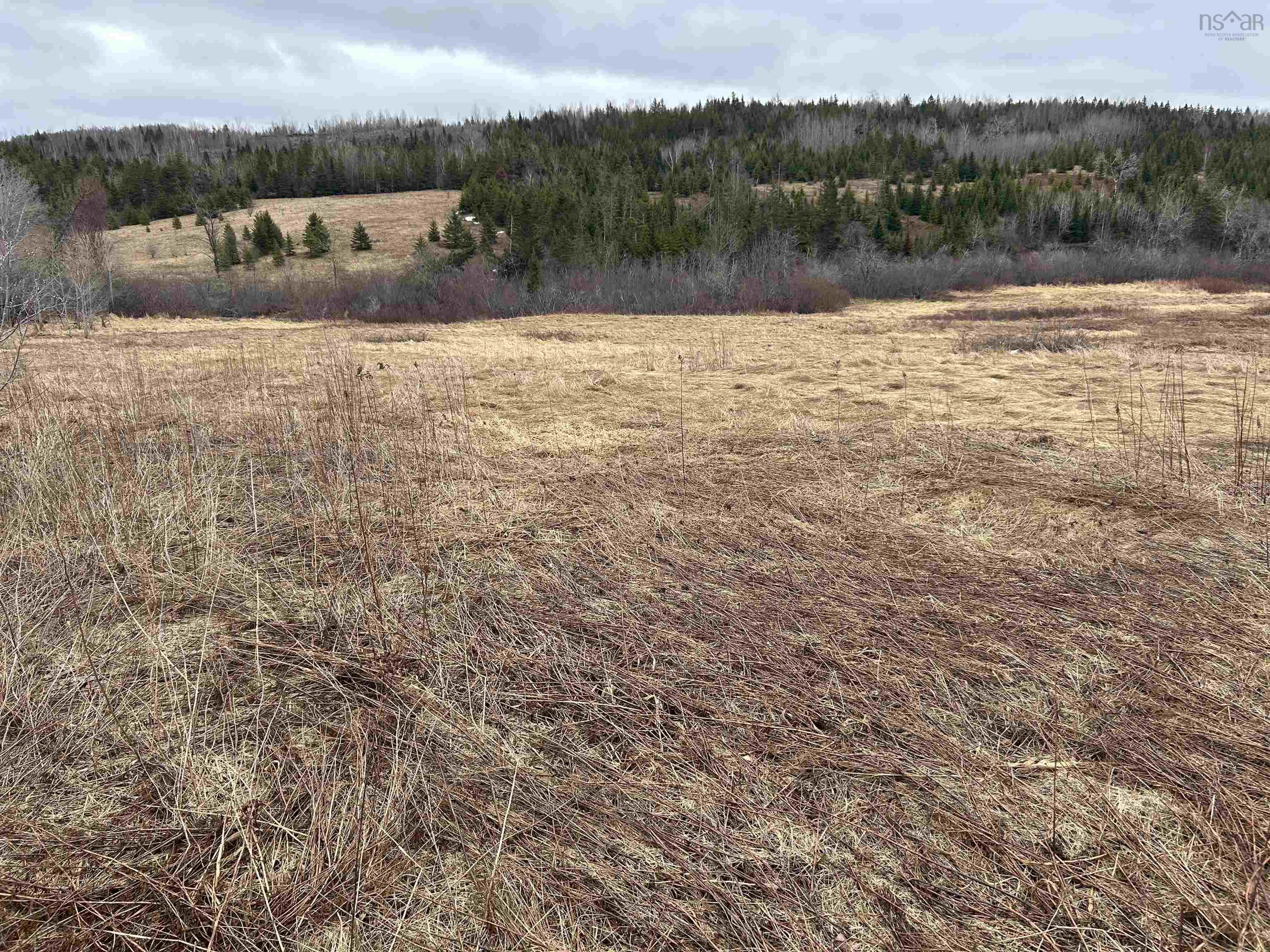 $65,000.00: South River Road, Antigonish