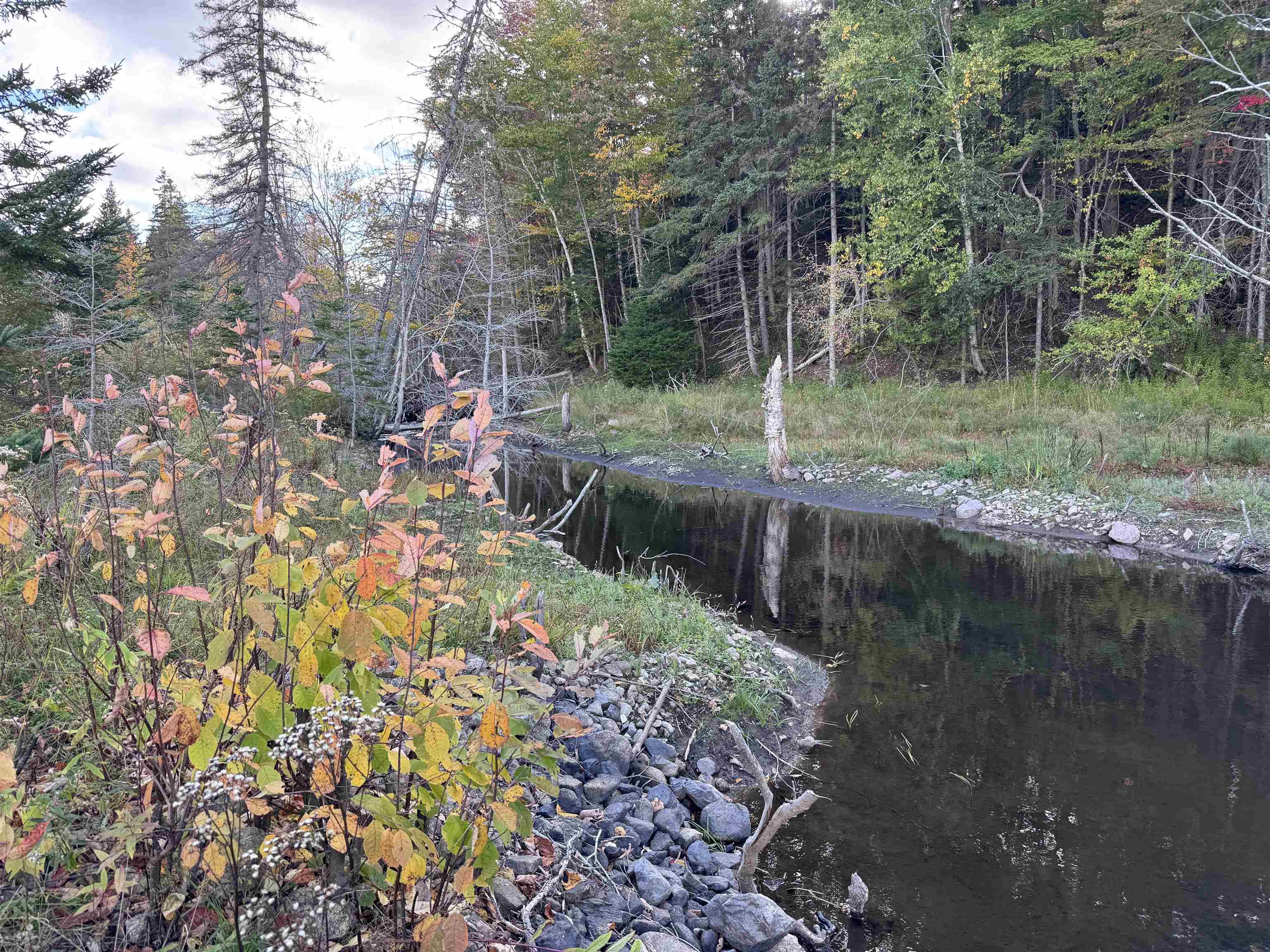 $79,000.00: 101 Ferguson Road, Kewstoke