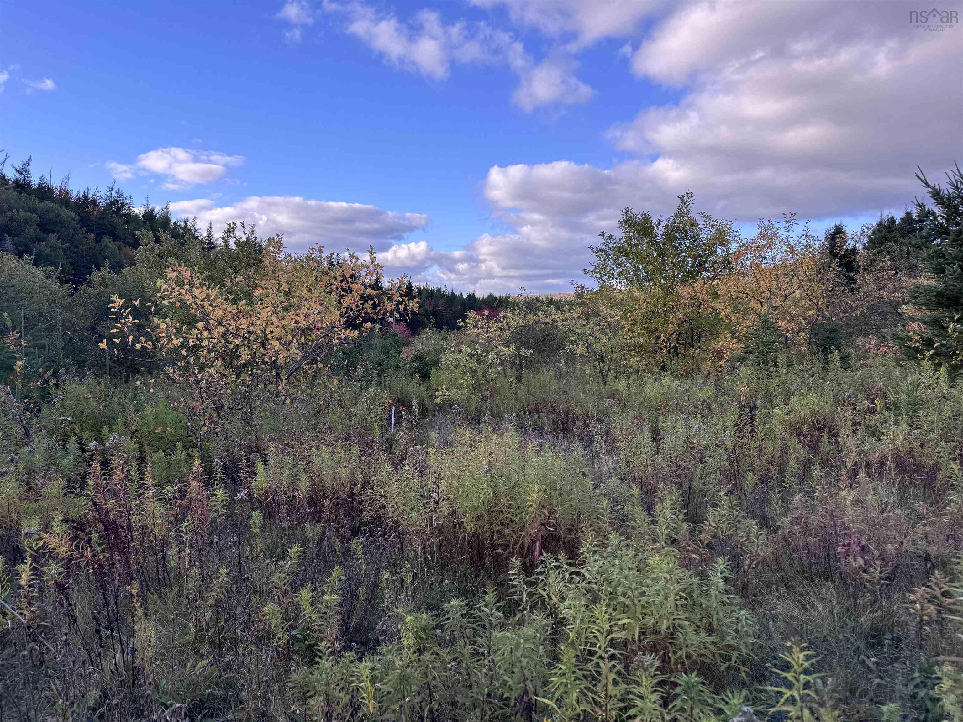$79,000.00: 101 Ferguson Road, Kewstoke