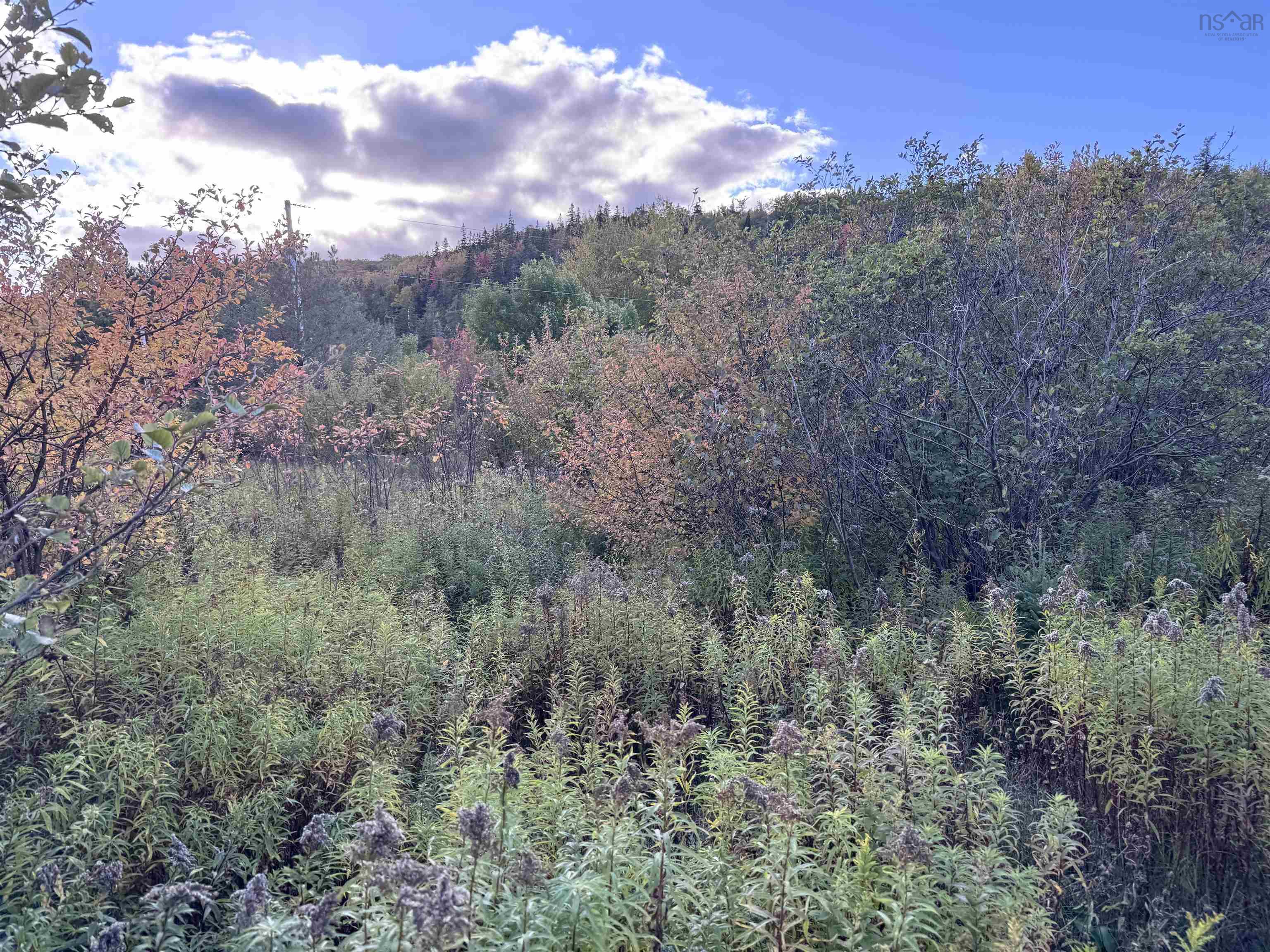$79,000.00: 101 Ferguson Road, Kewstoke