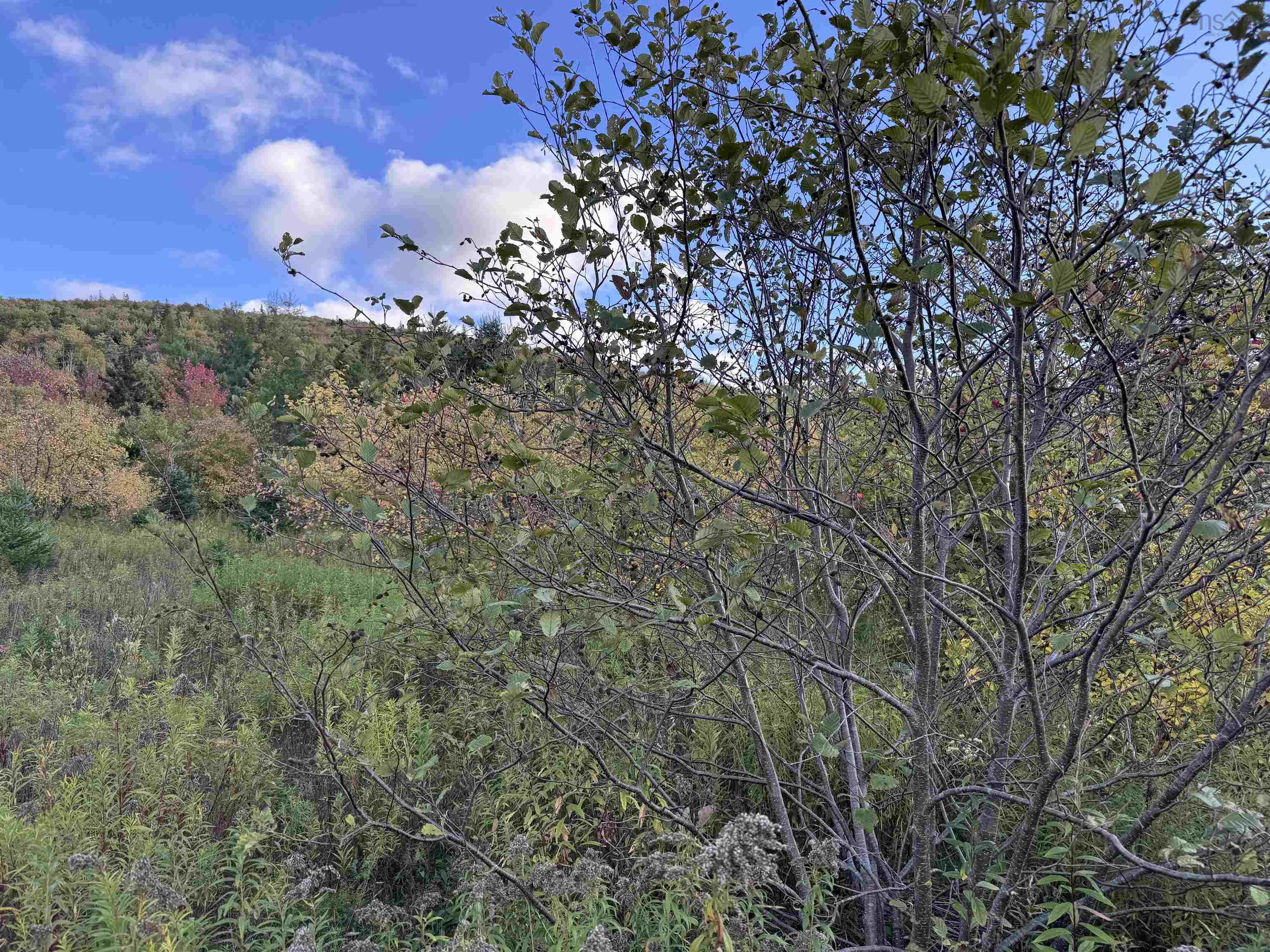 $79,000.00: 101 Ferguson Road, Kewstoke