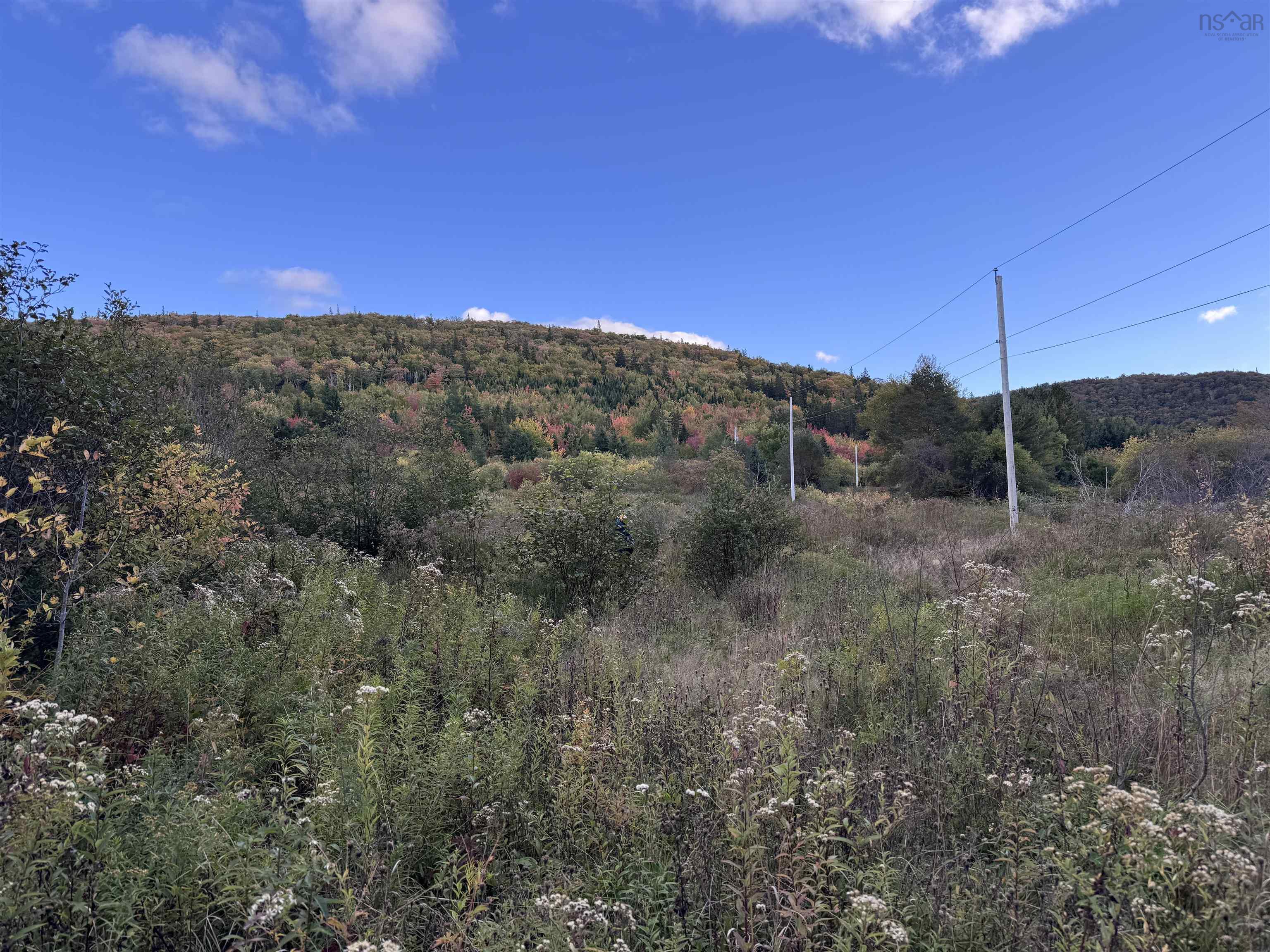 $79,000.00: 101 Ferguson Road, Kewstoke