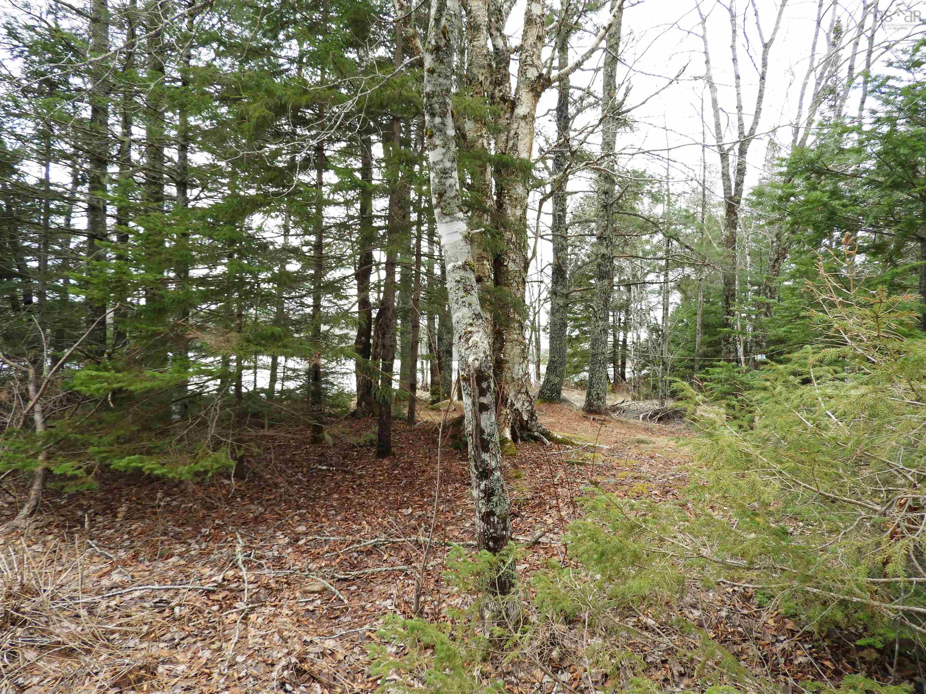 $199,900.00: 51 Camp Lake Drive, Mill Road