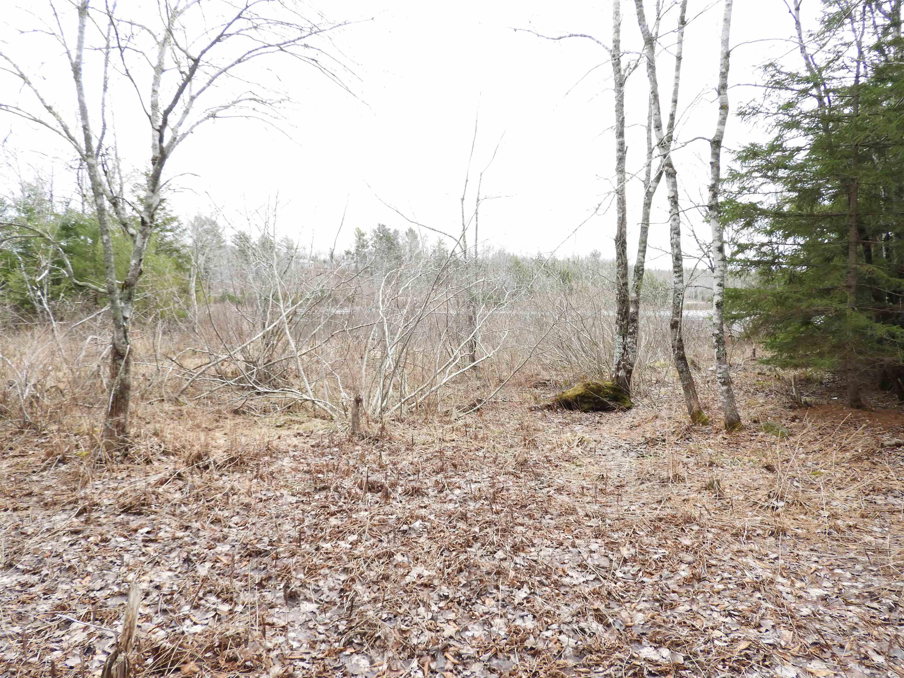 $199,900.00: 51 Camp Lake Drive, Mill Road