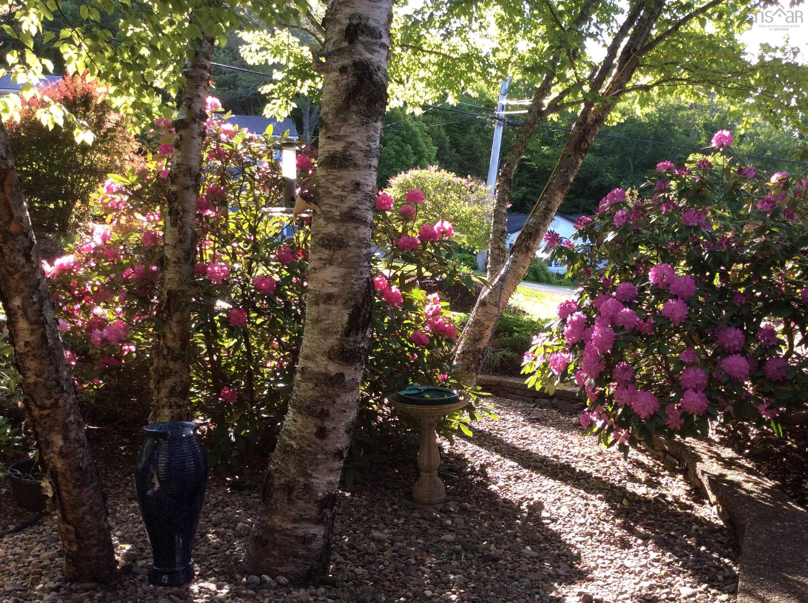 22 Wedgewood Avenue, Halifax, NS (MLS 202607787)