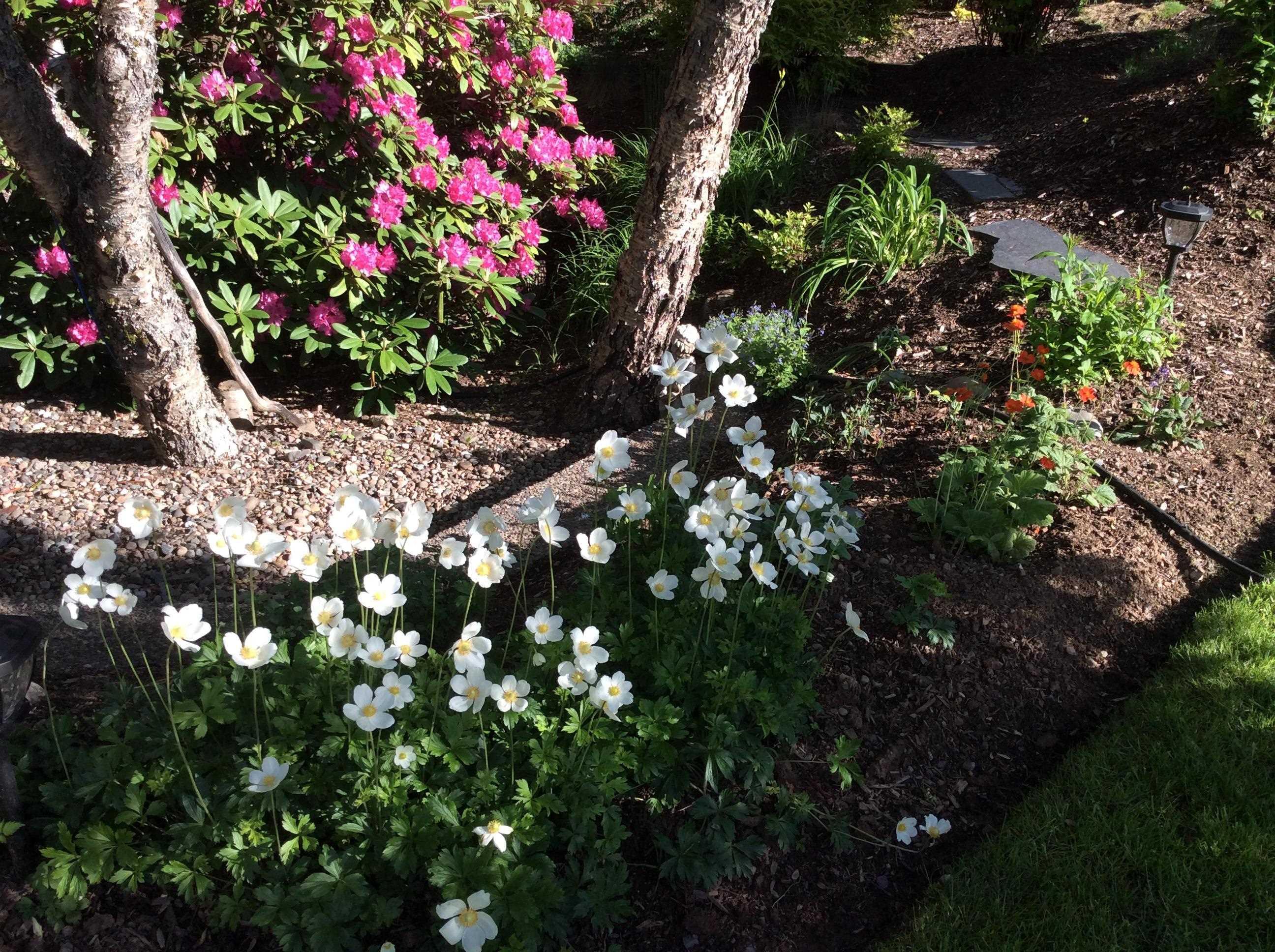 22 Wedgewood Avenue, Halifax, NS (MLS 202607787)