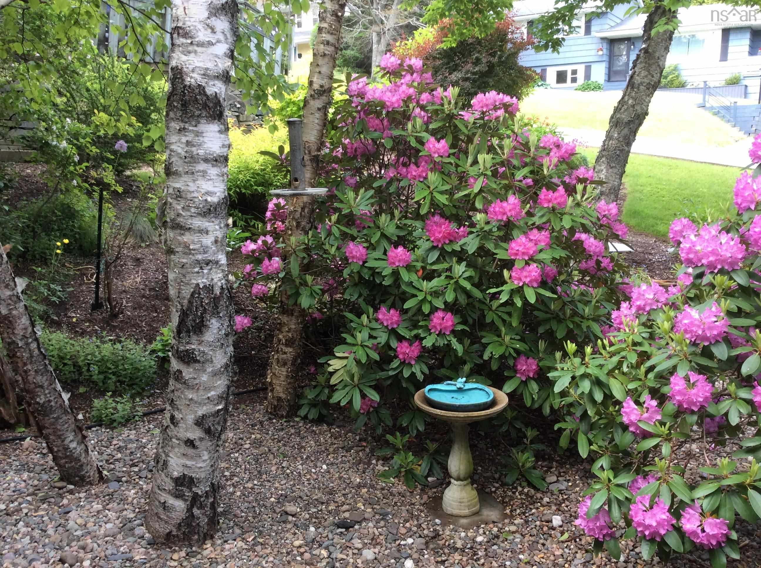 22 Wedgewood Avenue, Halifax, NS (MLS 202607787)