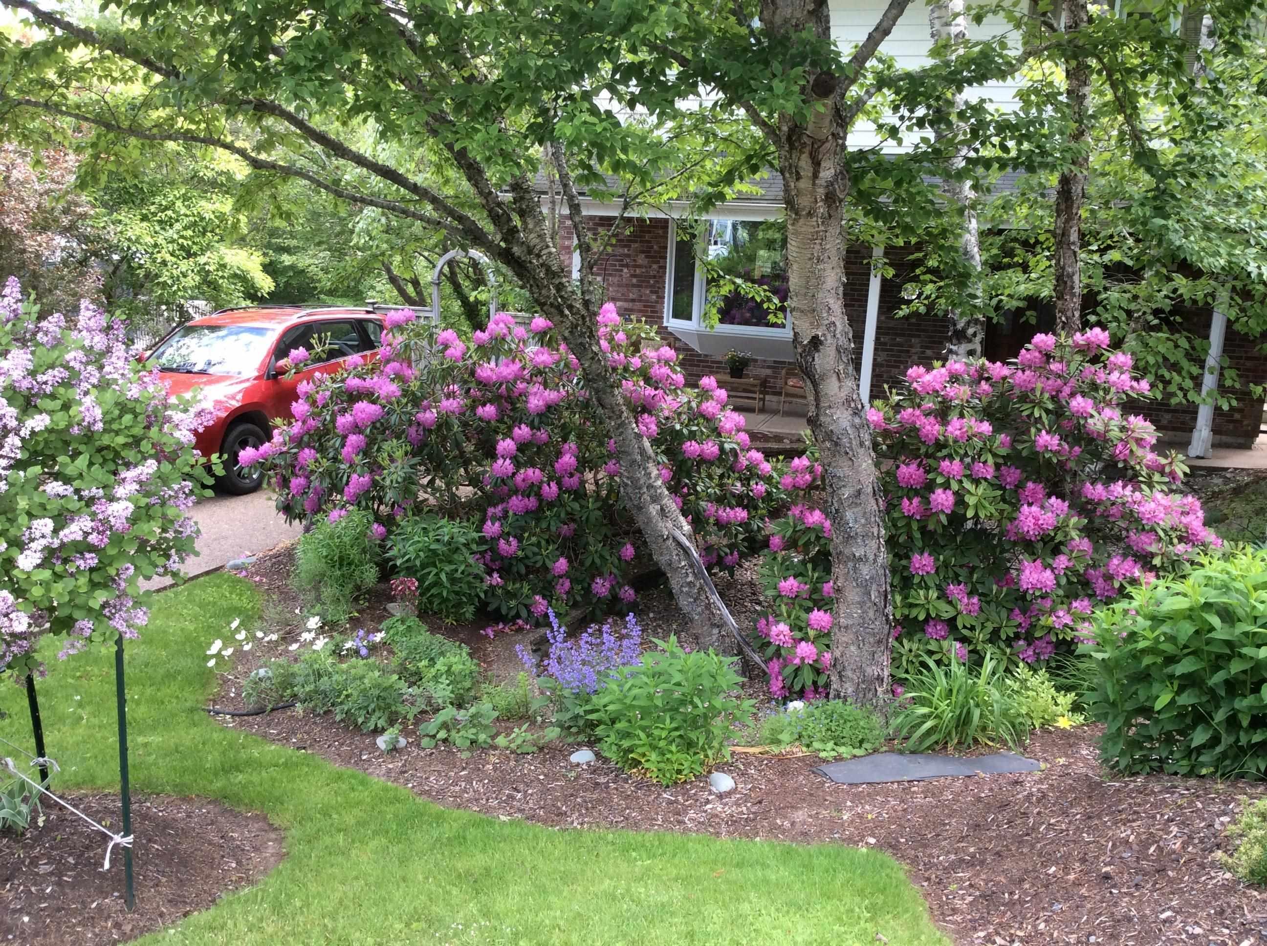 22 Wedgewood Avenue, Halifax, NS (MLS 202607787)