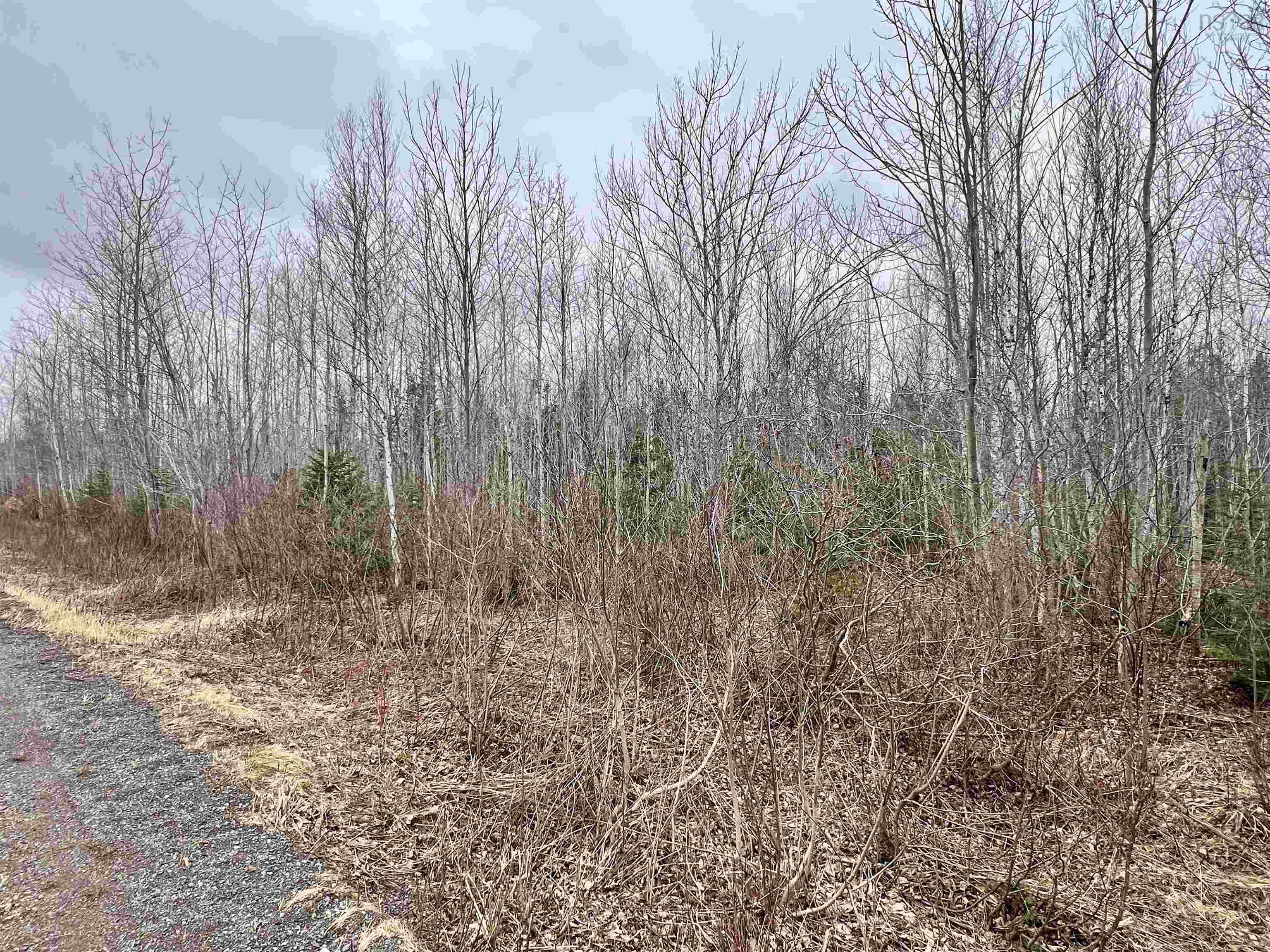 Dufferin Road, Sundridge, NS (MLS® 202607805)