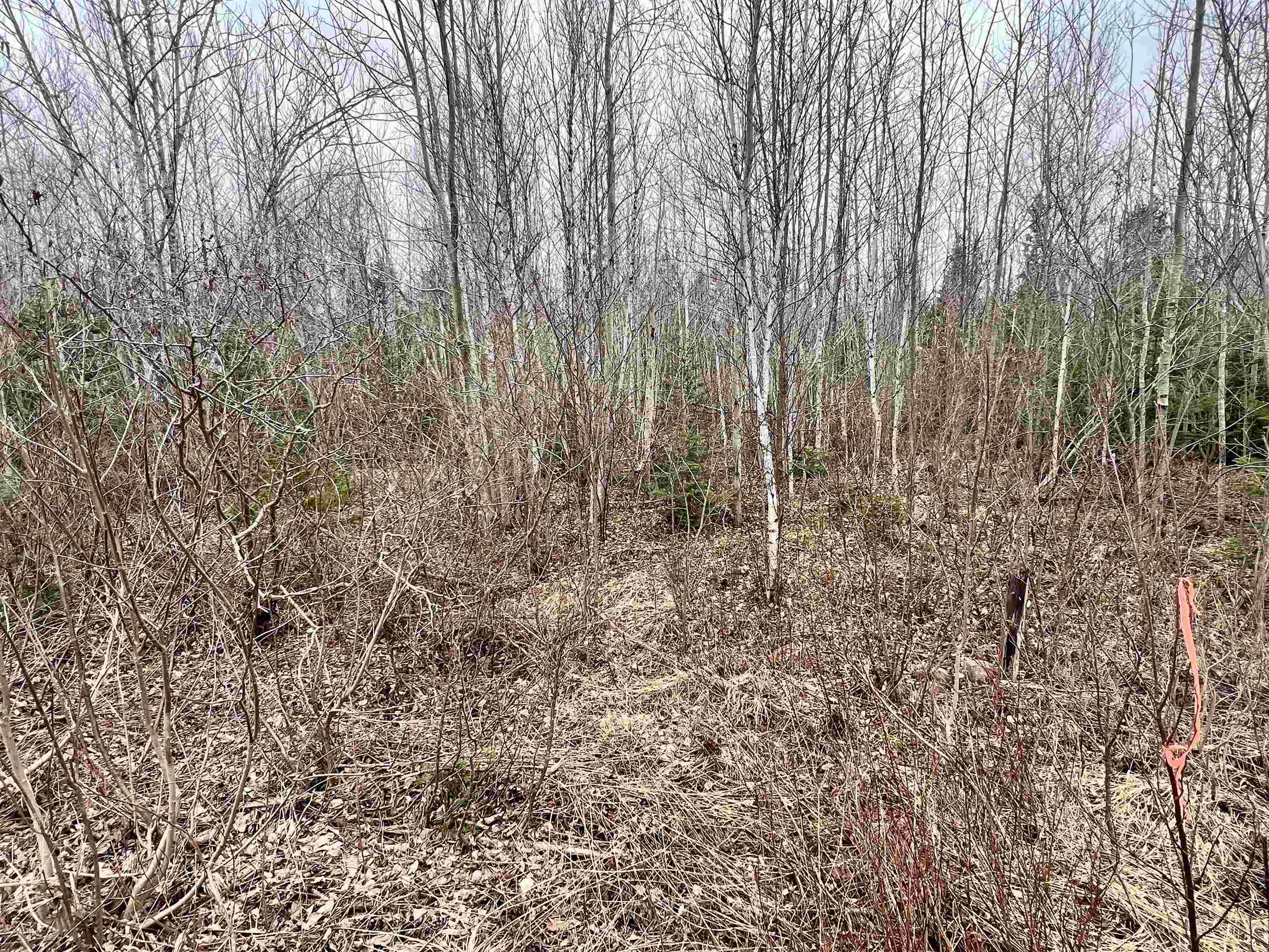 $89,000.00: Dufferin Road, Sundridge