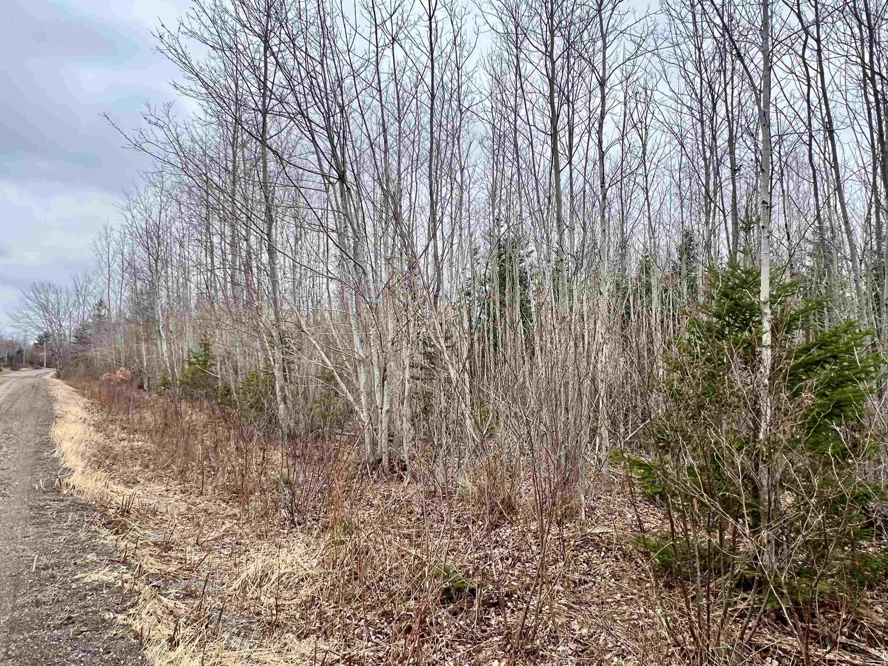 $89,000.00: Dufferin Road, Sundridge