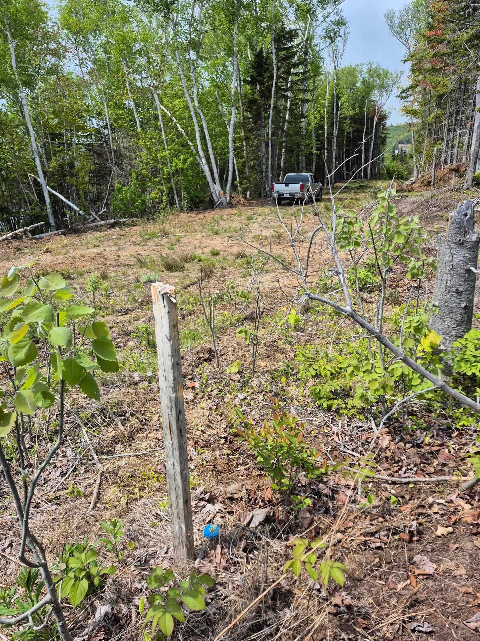 $250,000.00: Lot 2025-1 White Birch Landing, Island View