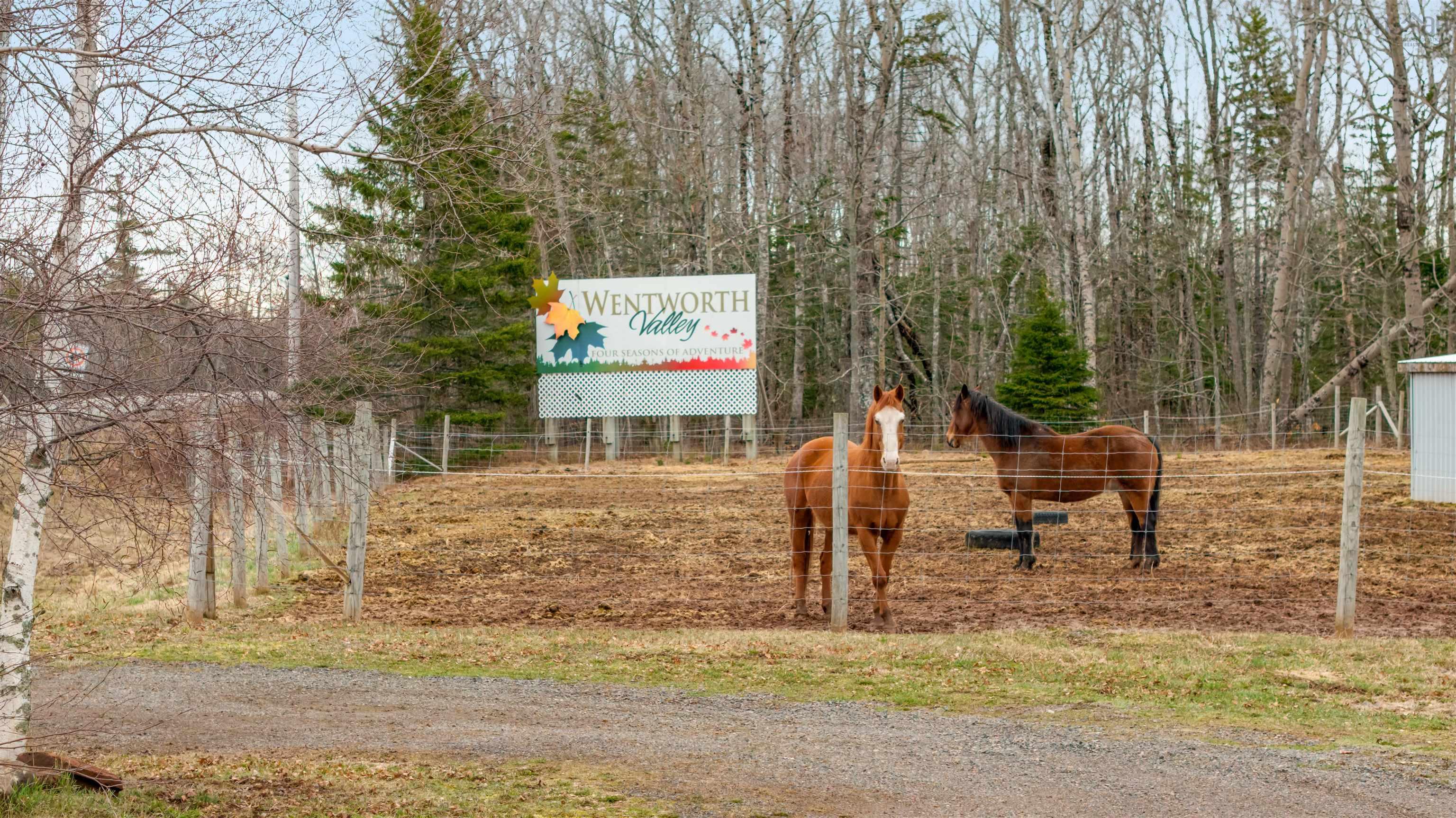 $375,000.00: 12032 Highway 4, West Wentworth