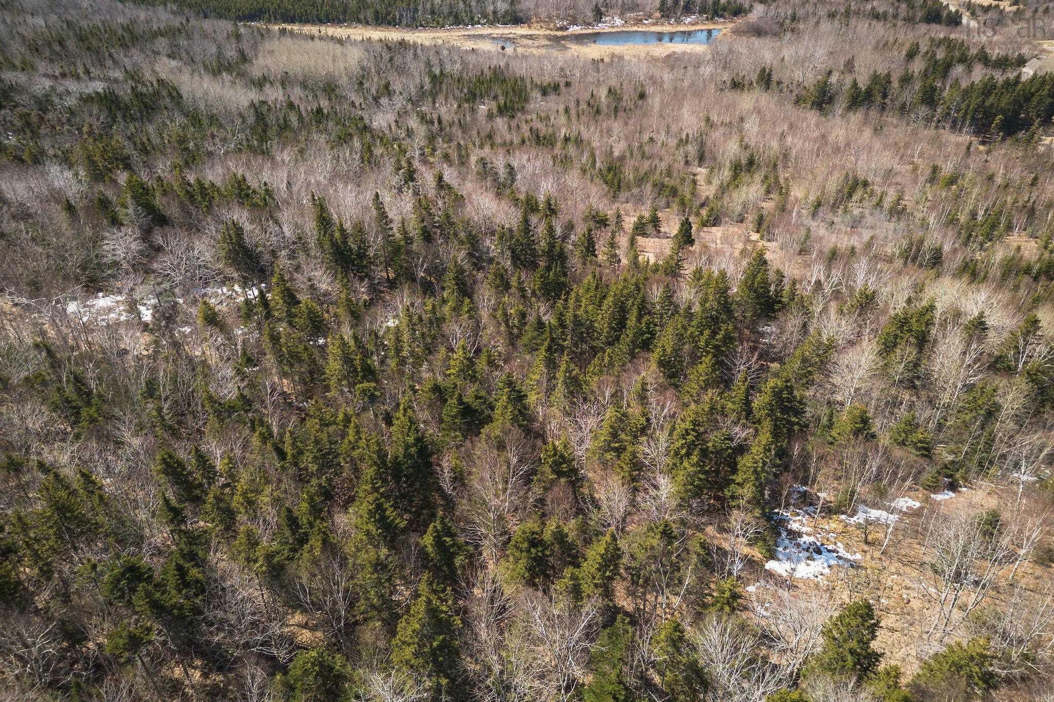 $139,000.00: 100 Acres Route 19, Troy