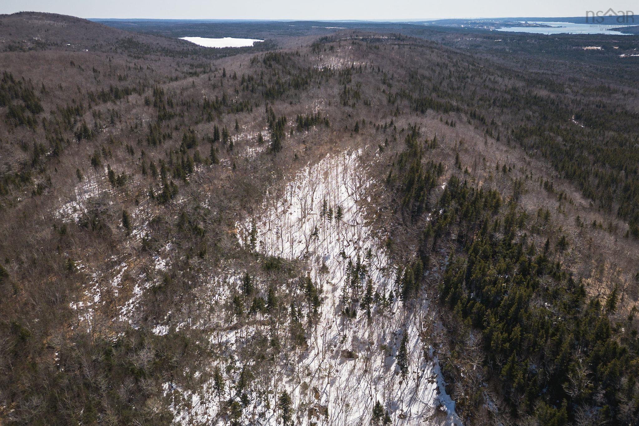 $139,000.00: 100 Acres Route 19, Troy