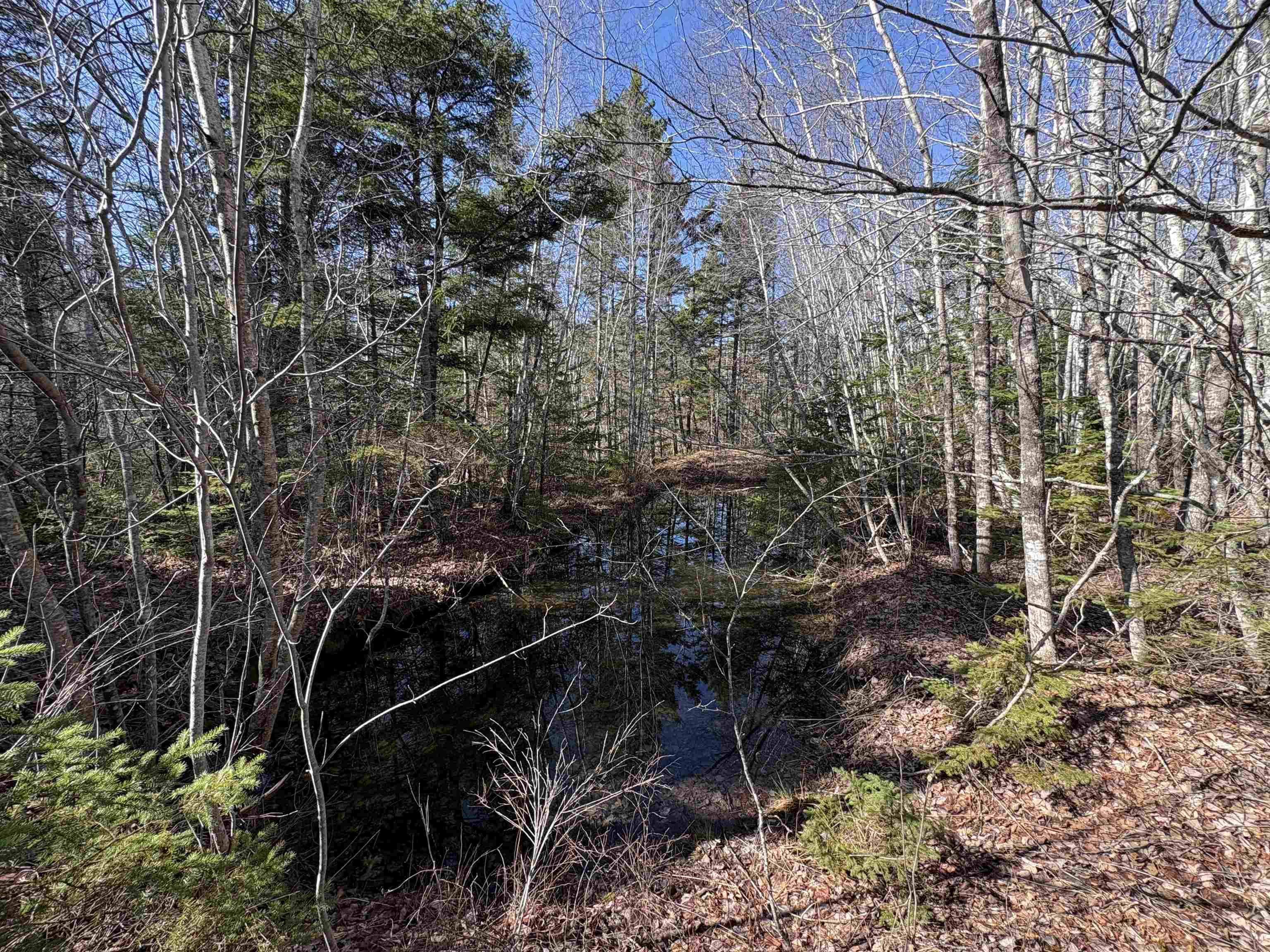 $99,900.00: Bennie Muckle - 30 Acres Road, Bramber