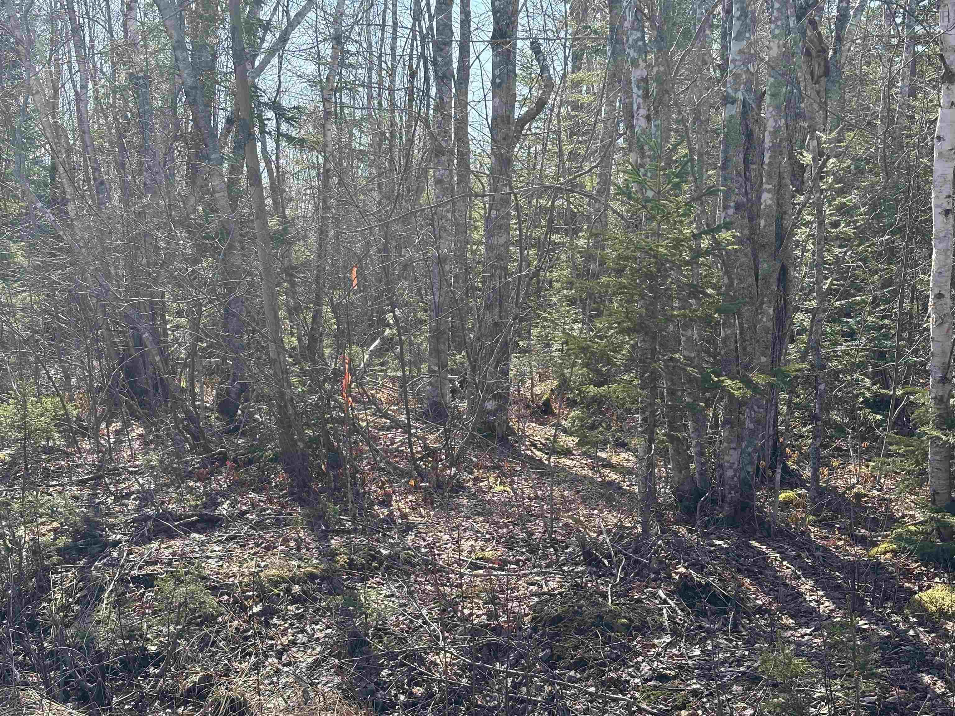 $99,900.00: Bennie Muckle - 30 Acres Road, Bramber