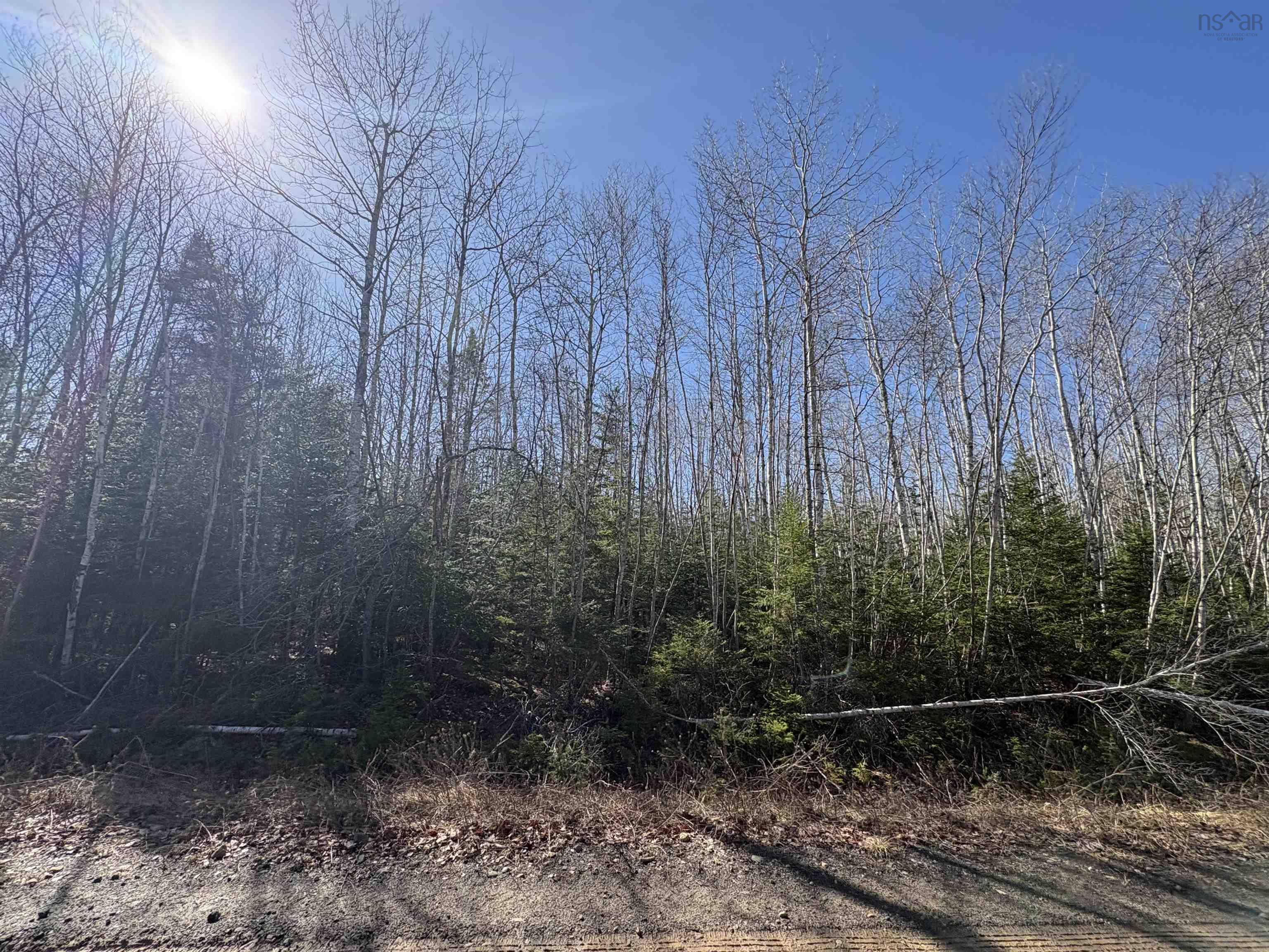 $99,900.00: Bennie Muckle - 30 Acres Road, Bramber