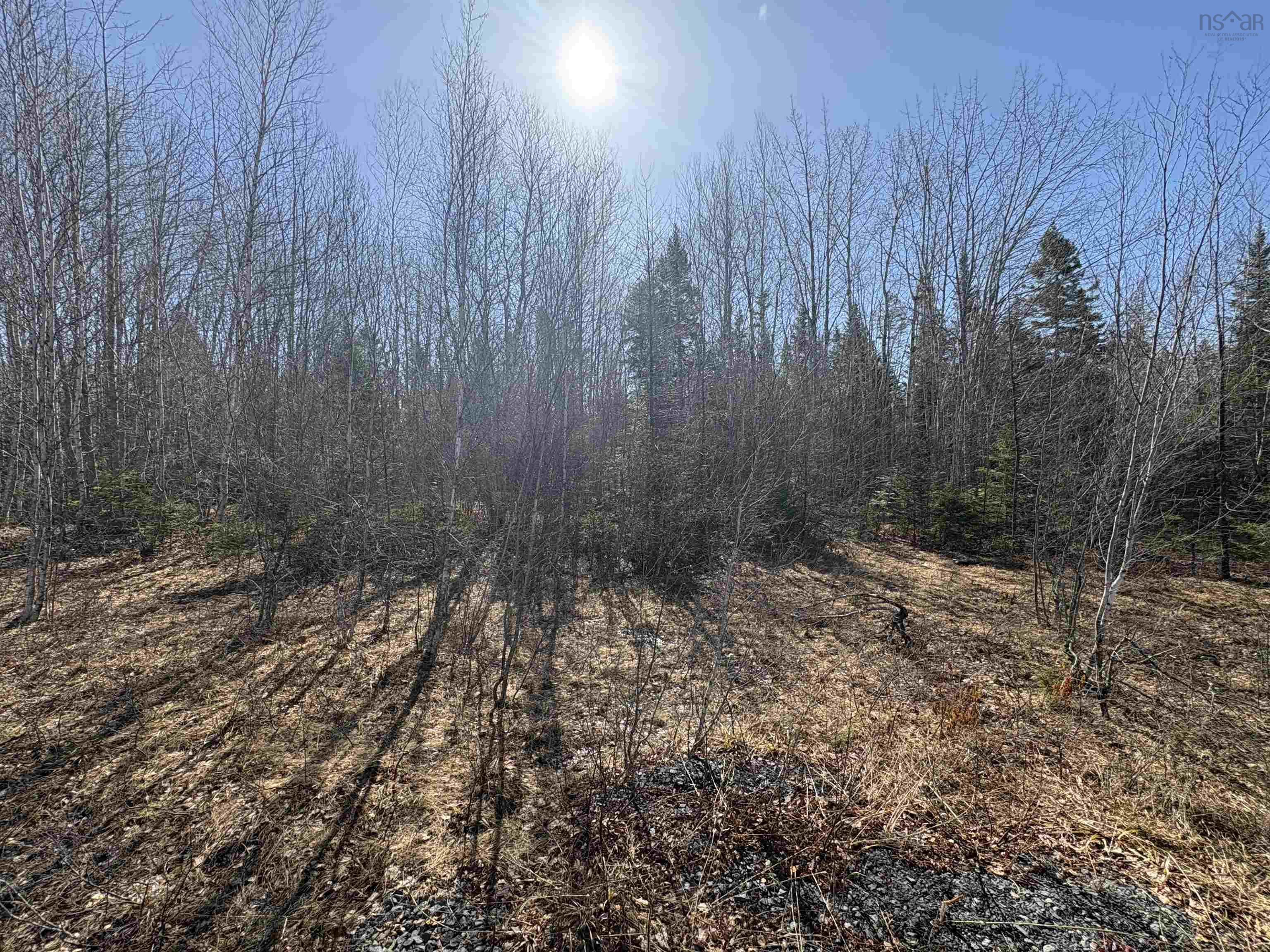 $99,900.00: Bennie Muckle - 30 Acres Road, Bramber