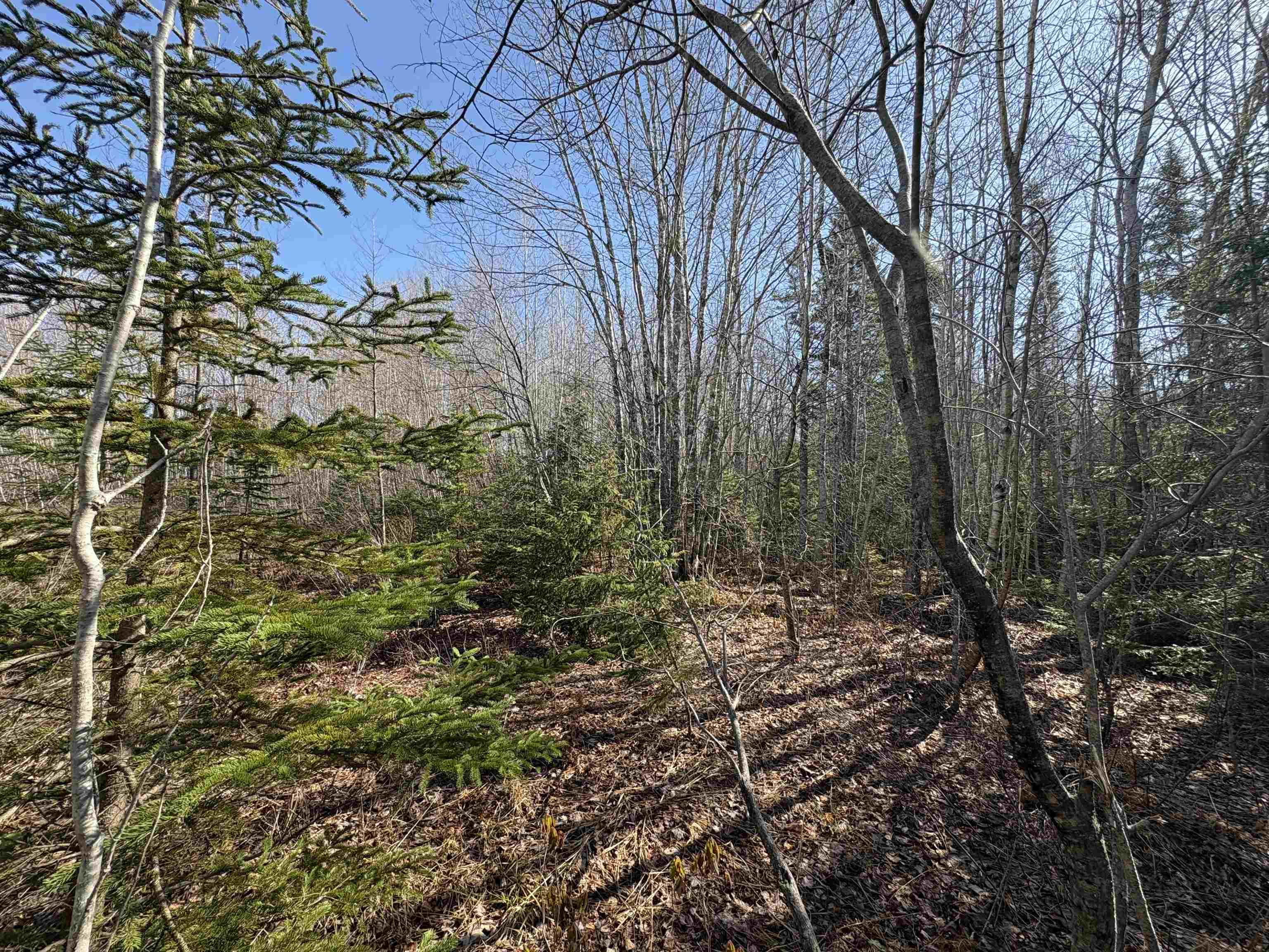 $99,900.00: Bennie Muckle - 30 Acres Road, Bramber