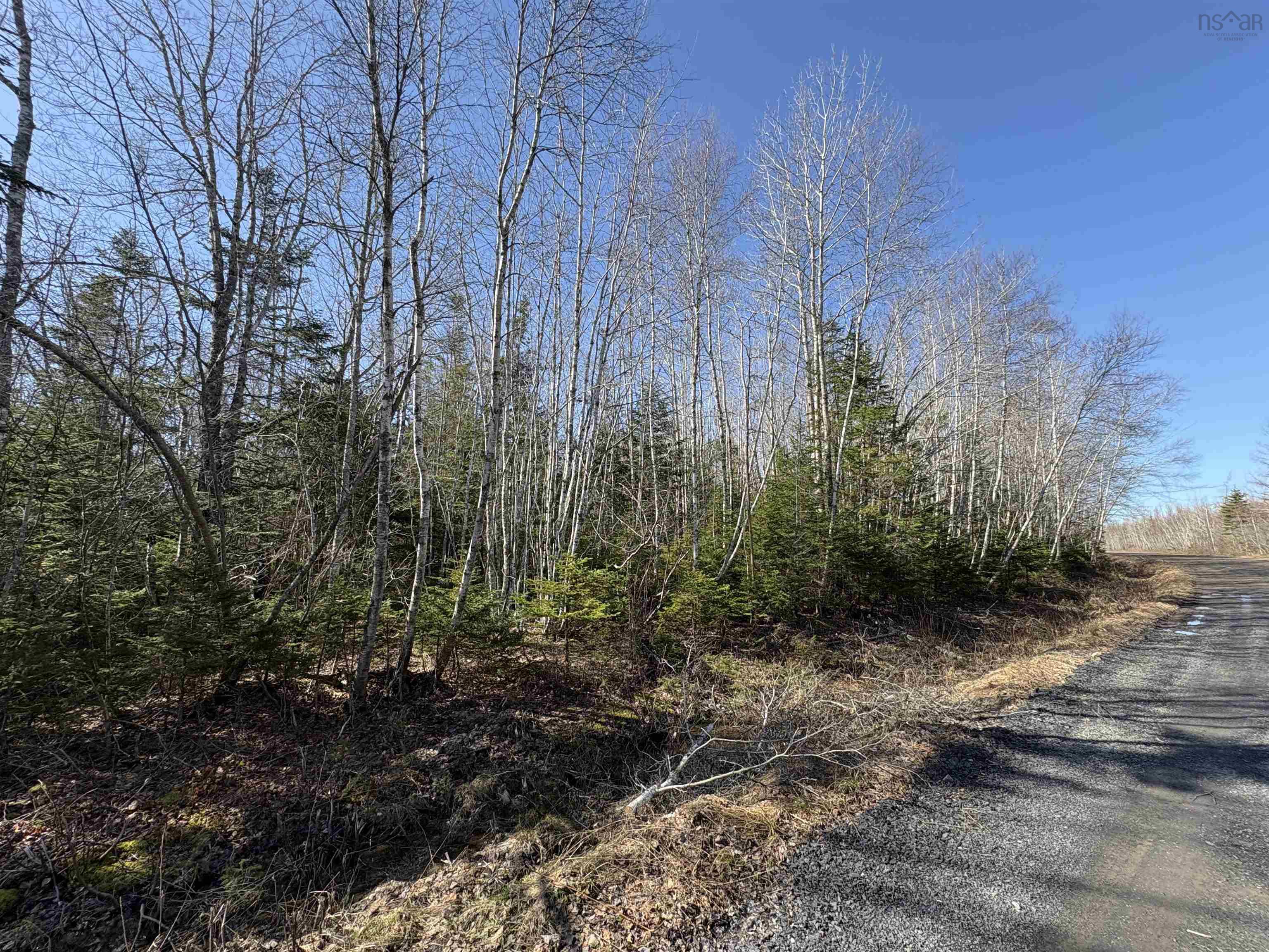 $99,900.00: Bennie Muckle - 30 Acres Road, Bramber