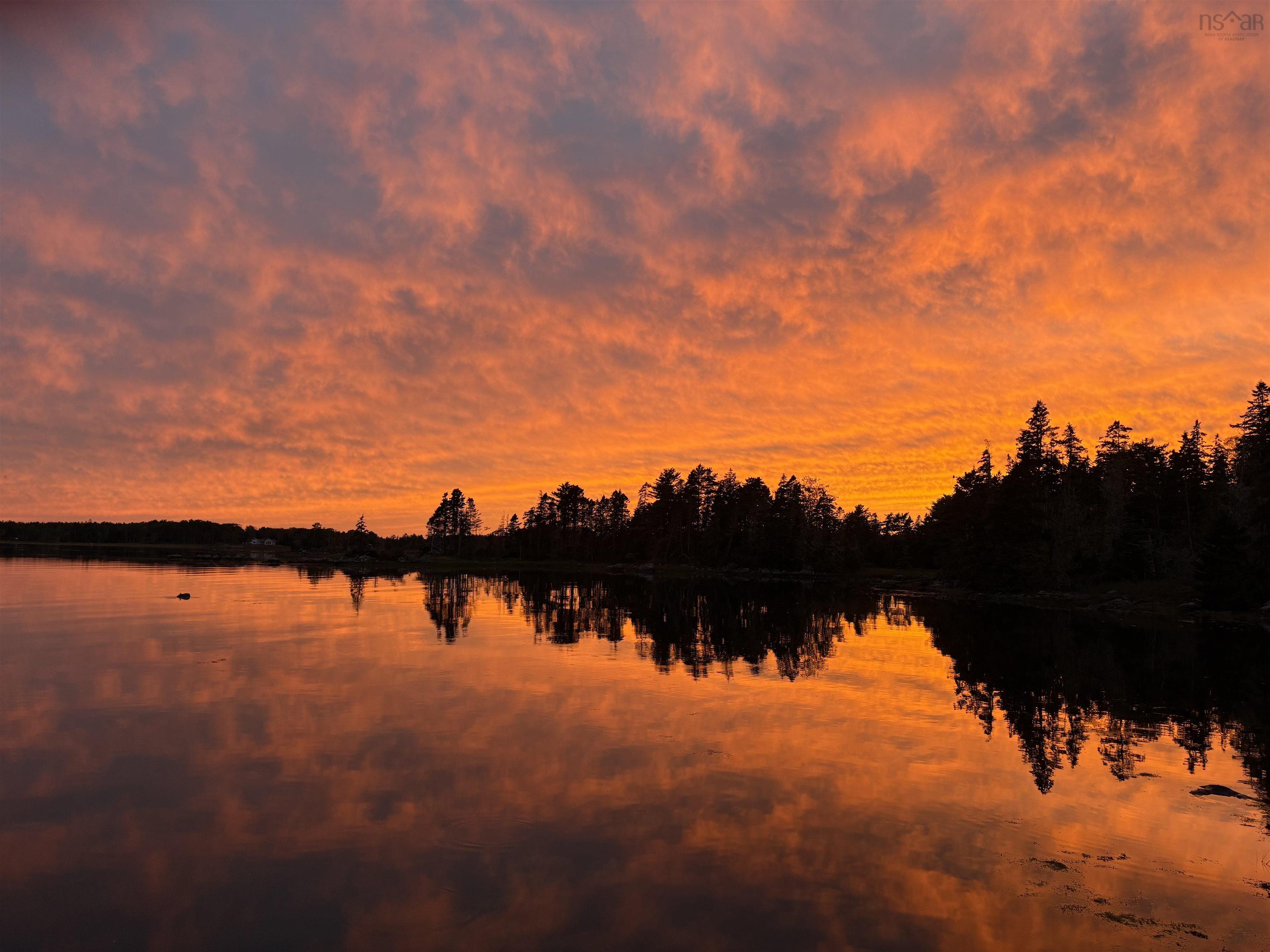 $595,000.00: 9169 Highway 331, Voglers Cove