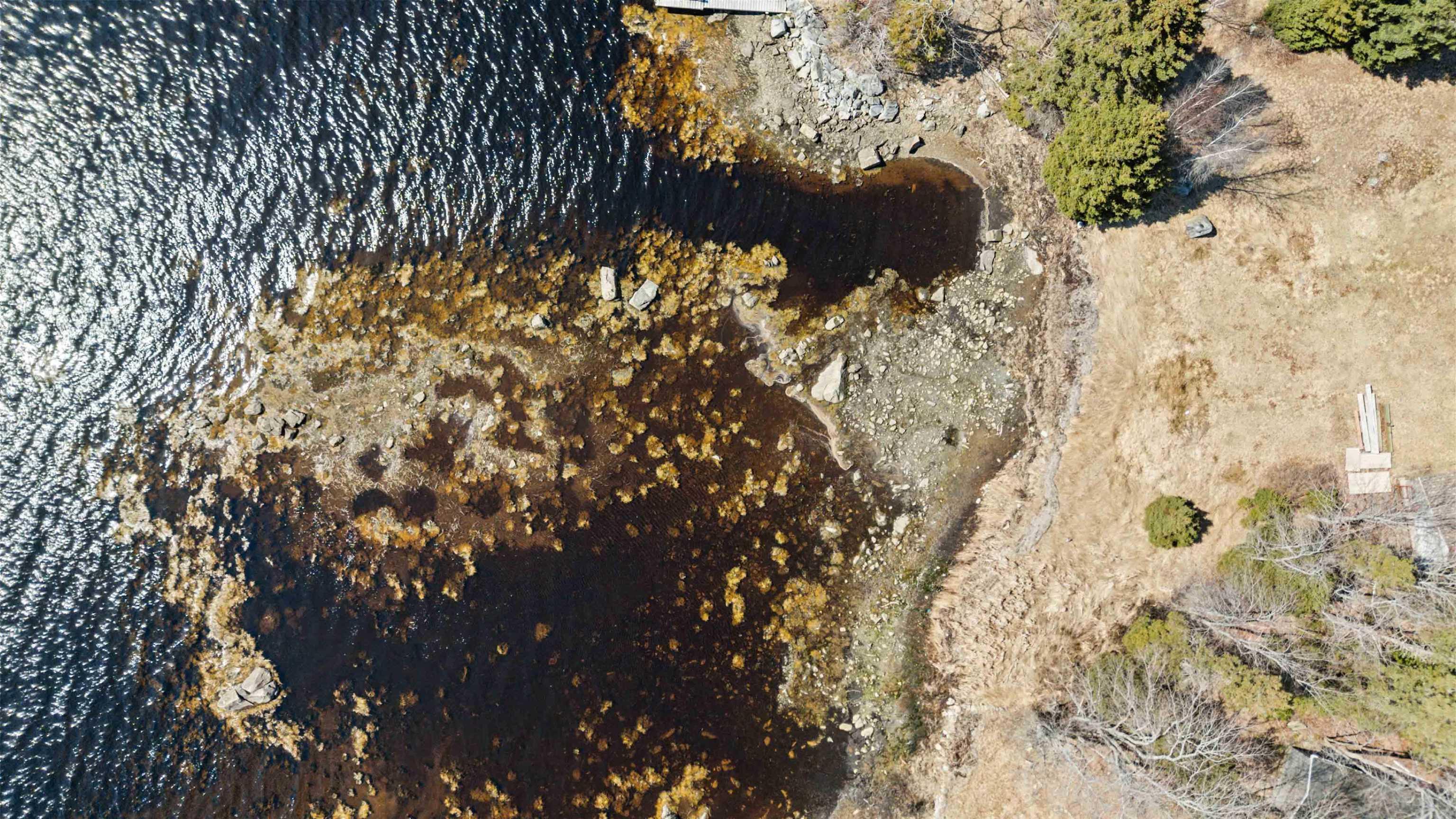 $595,000.00: 9169 Highway 331, Voglers Cove