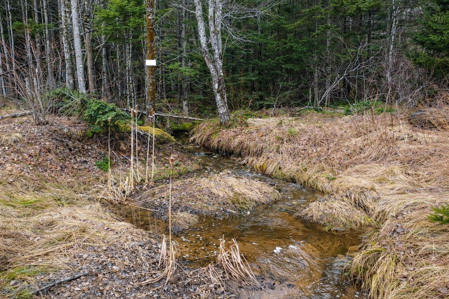 $49,500.00: Lot 23 Lower River Road, Grantville, Grantville