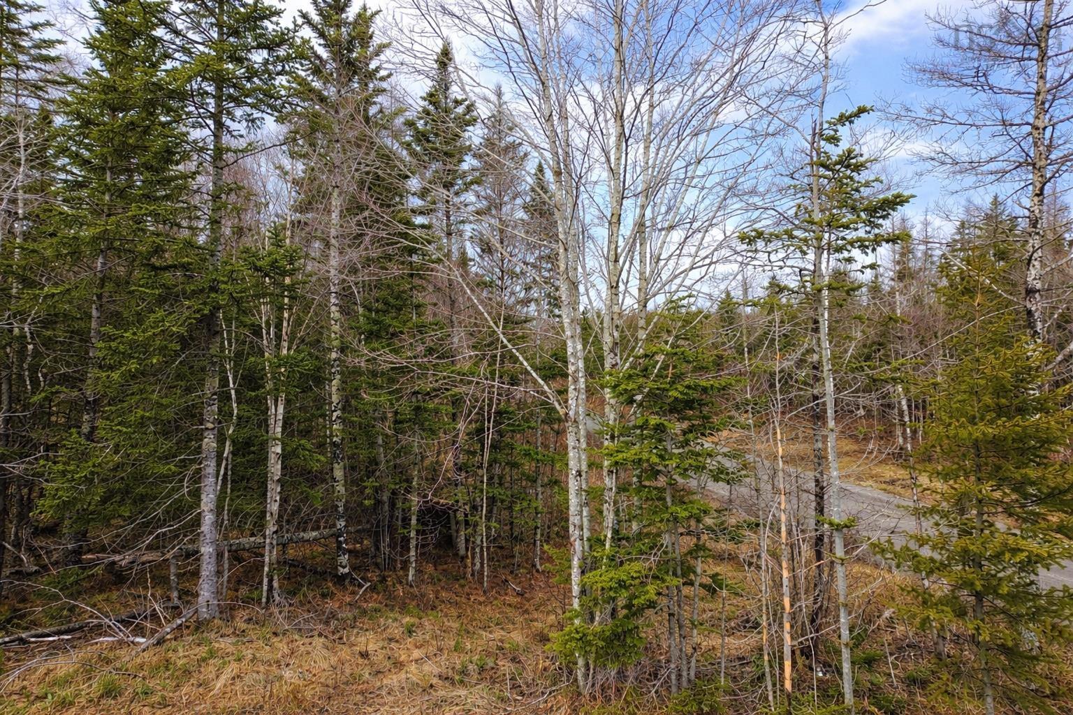$49,500.00: Lot 23 Lower River Road, Grantville, Grantville