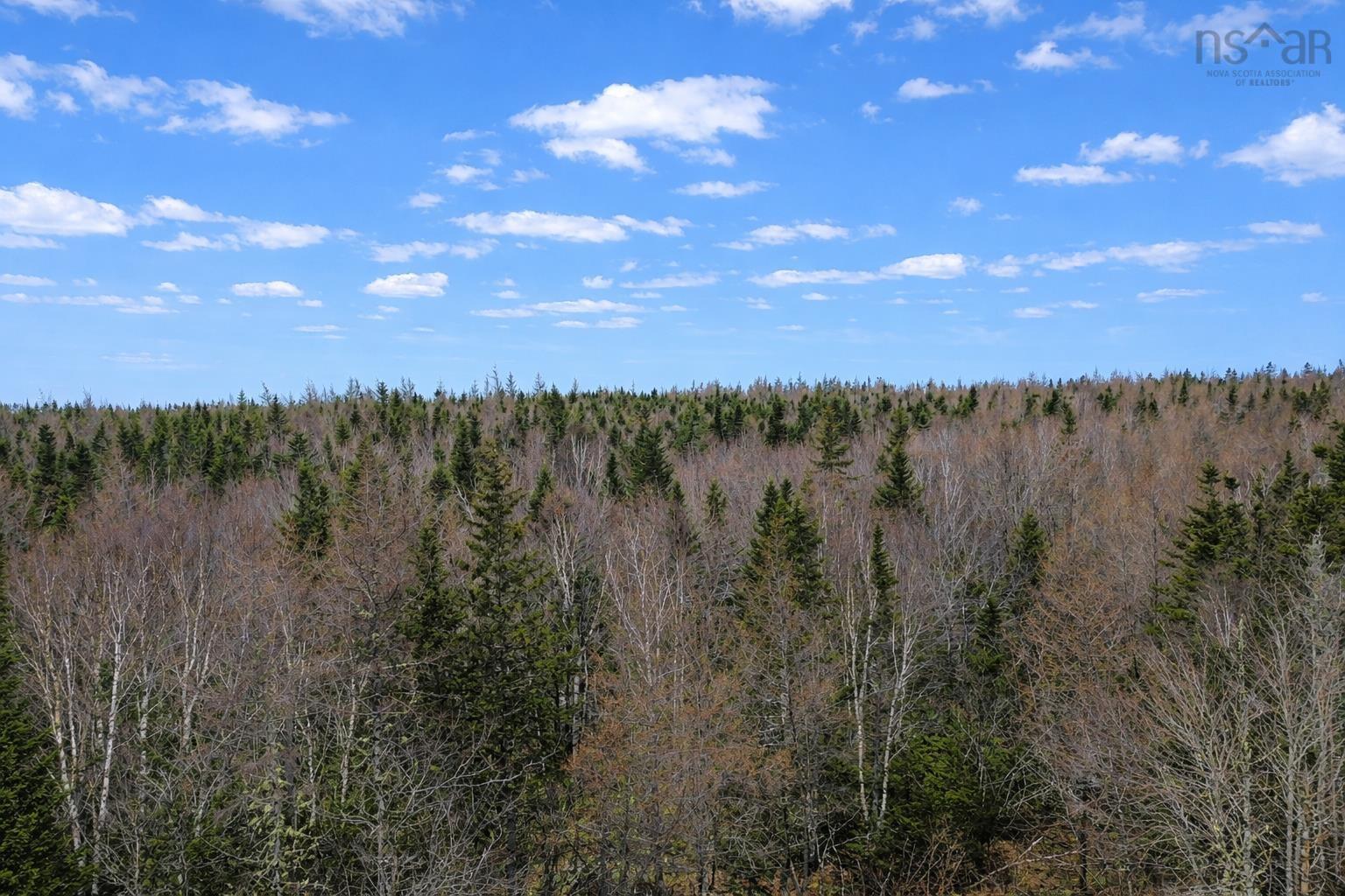$49,500.00: Lot 23 Lower River Road, Grantville, Grantville