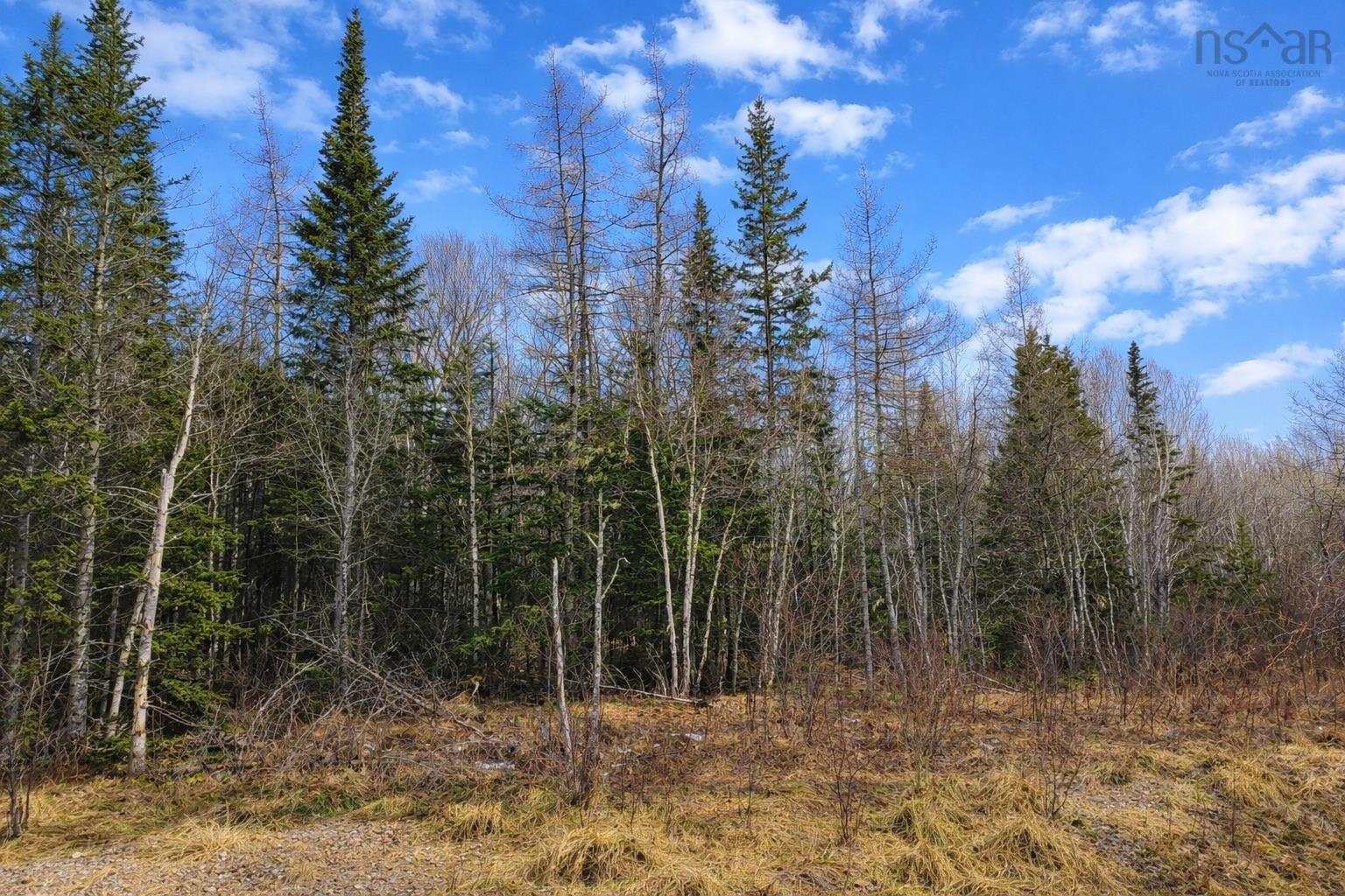 $49,500.00: Lot 23 Lower River Road, Grantville, Grantville